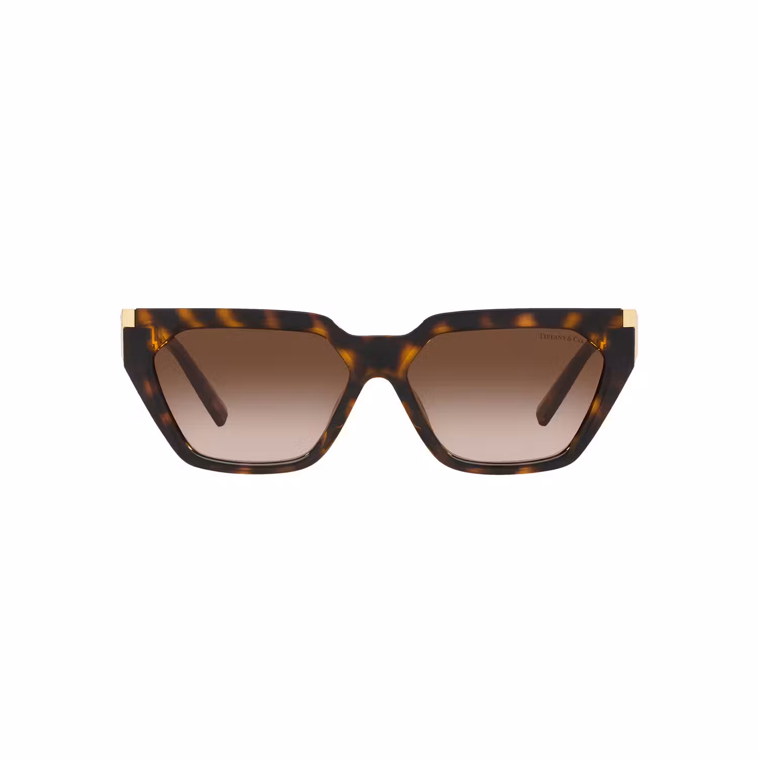 Irregular Sunglasses TF4205U
