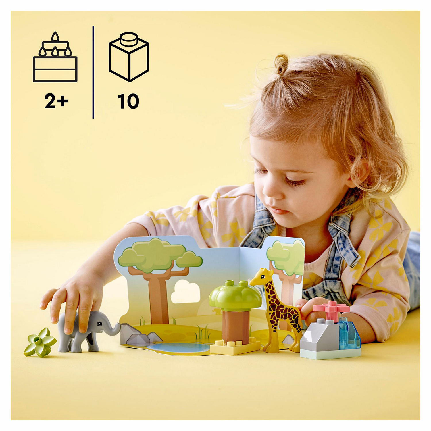 Wild Animals of Africa