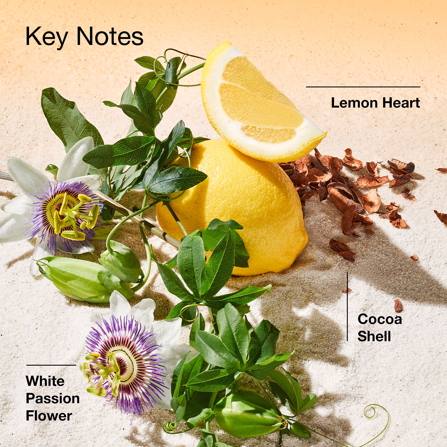 Happy in Paradise? Limited Edition Eau de Parfum Spray