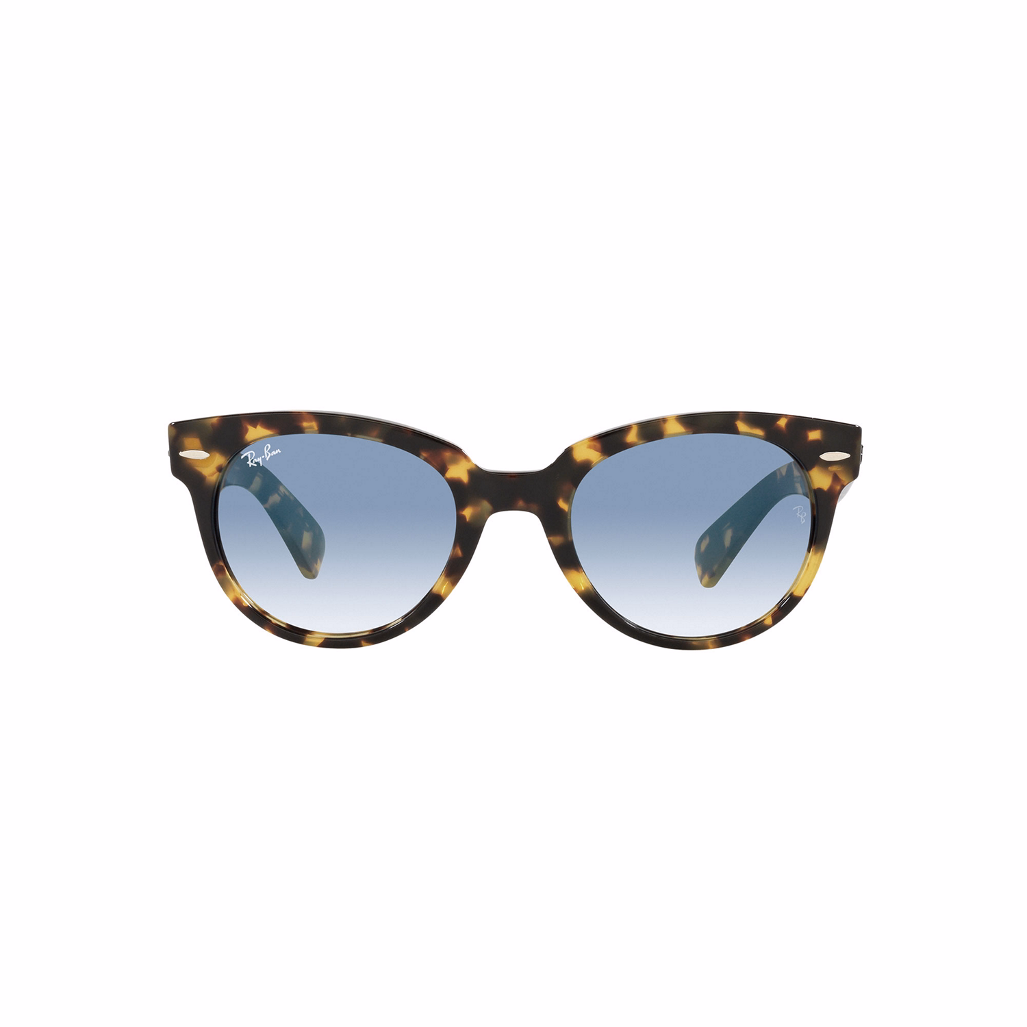 RB2199 Square Sunglasses