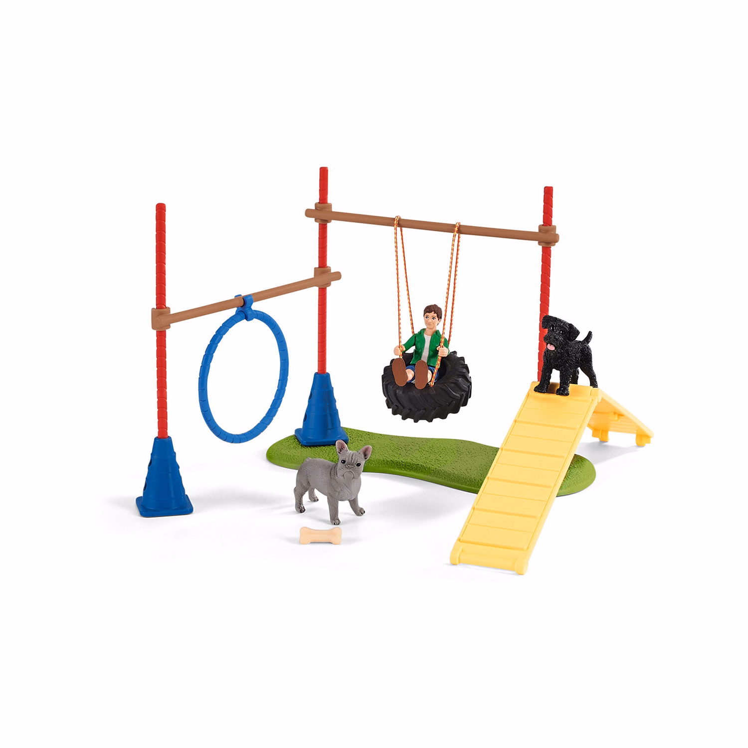 Puppy Agility Training