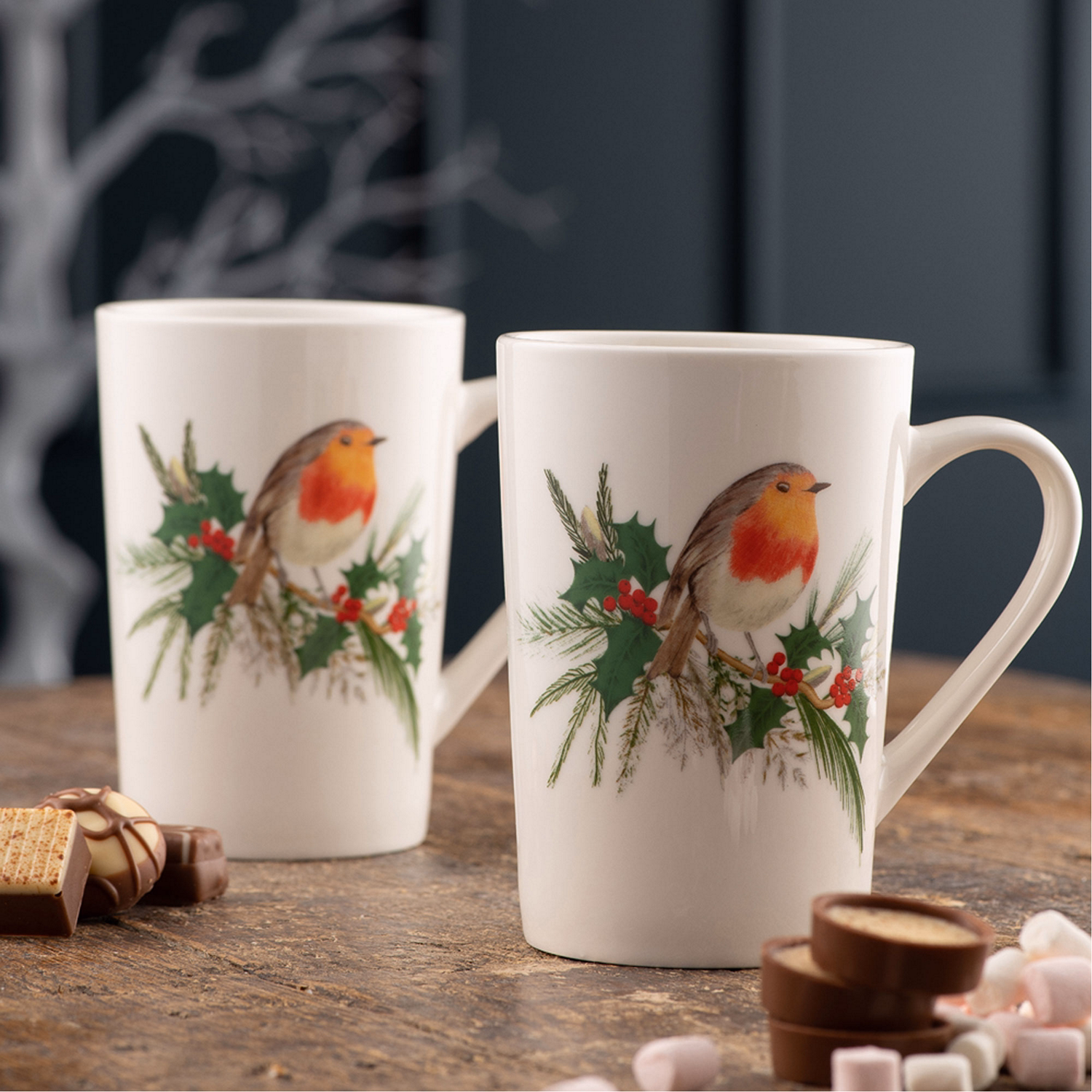 Robin Latte Set of Two Large Mugs