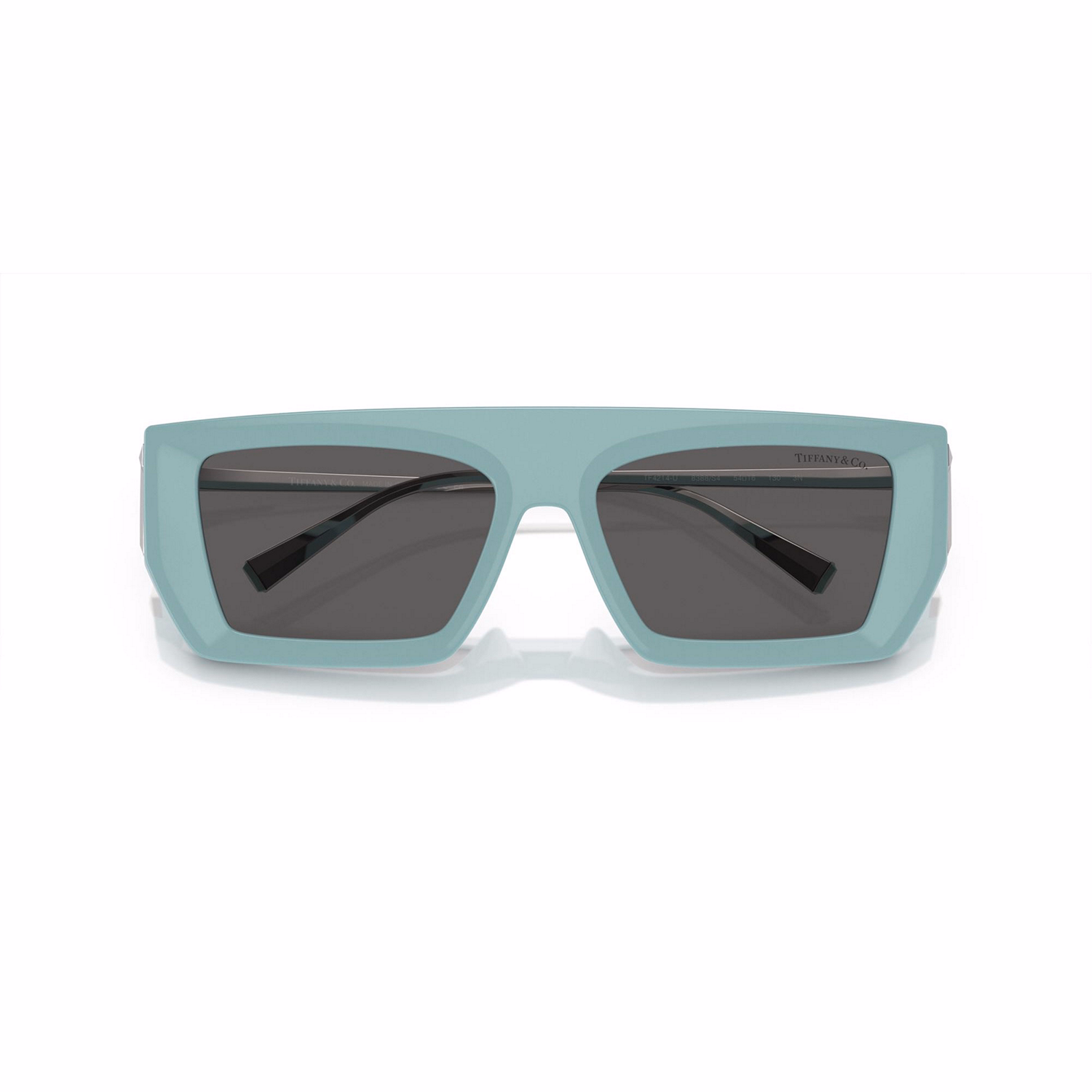 Rectangle Sunglasses TF4214U
