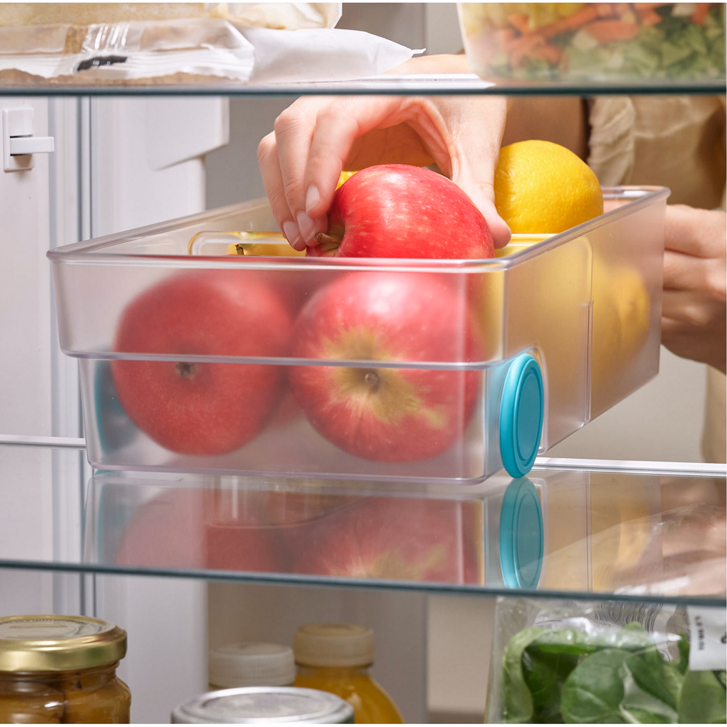 FridgeStore? Large Storage Bin