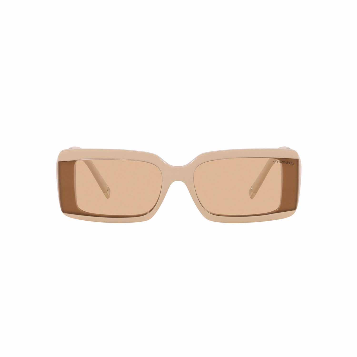 Rectangle Sunglasses TF4197