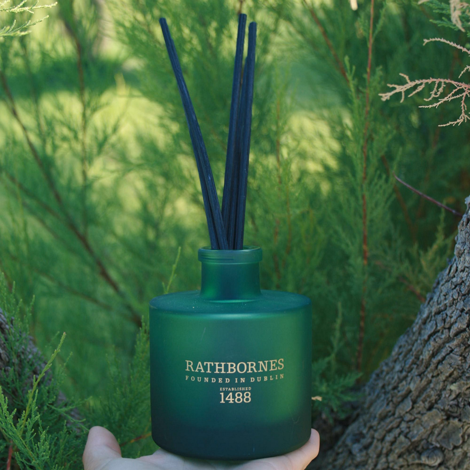 Dublin Retreat Musk, Black Ebony & Amber Scented Reed Diffuser