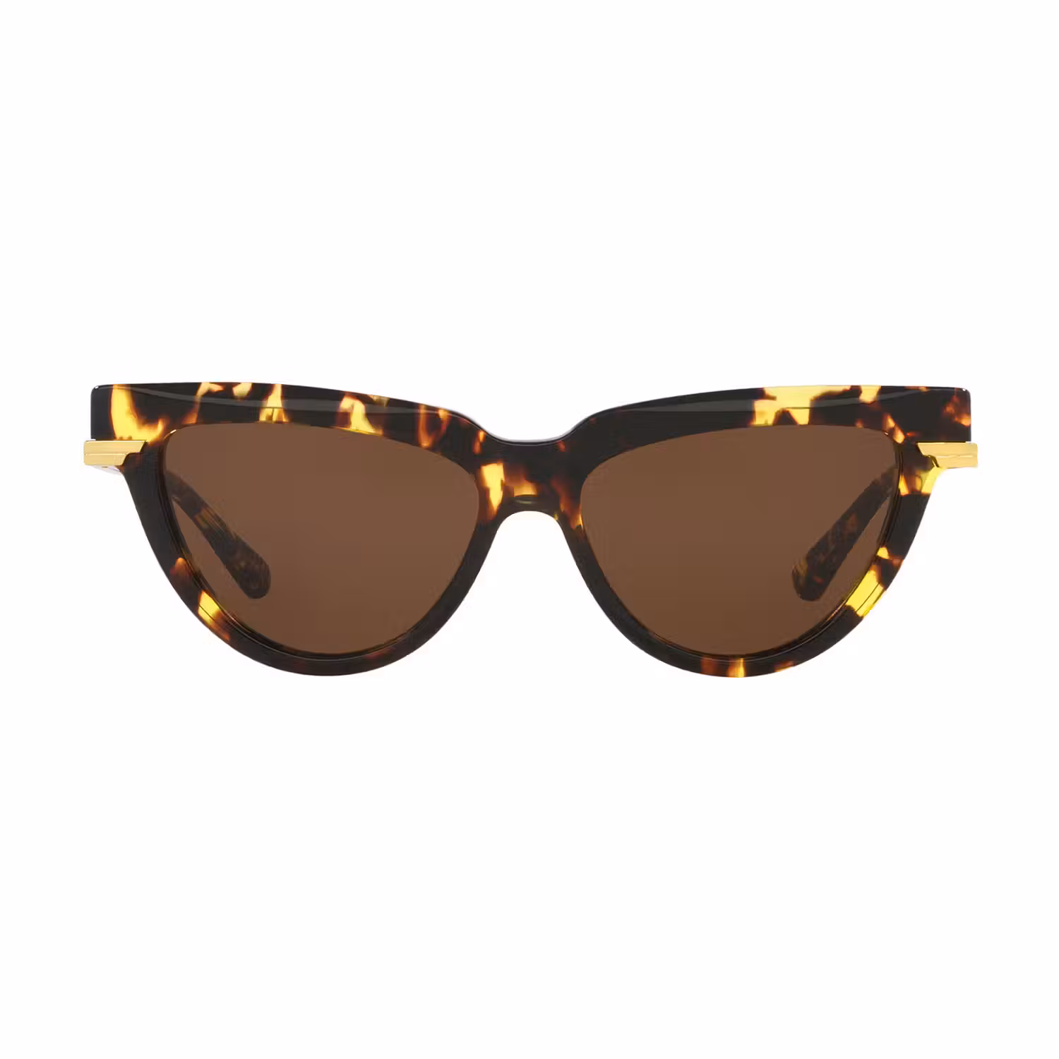 Cat Eye Sunglasses 6J000421