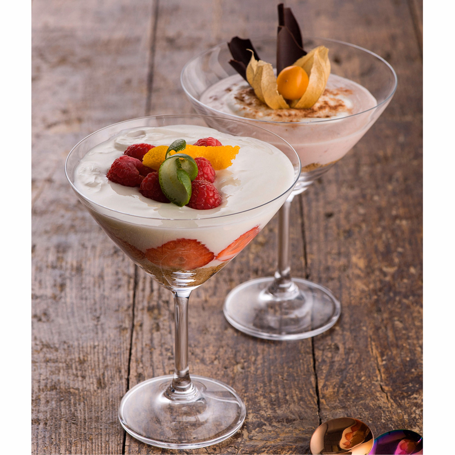 Elegance Martini/Cocktail Set of Two Glasses