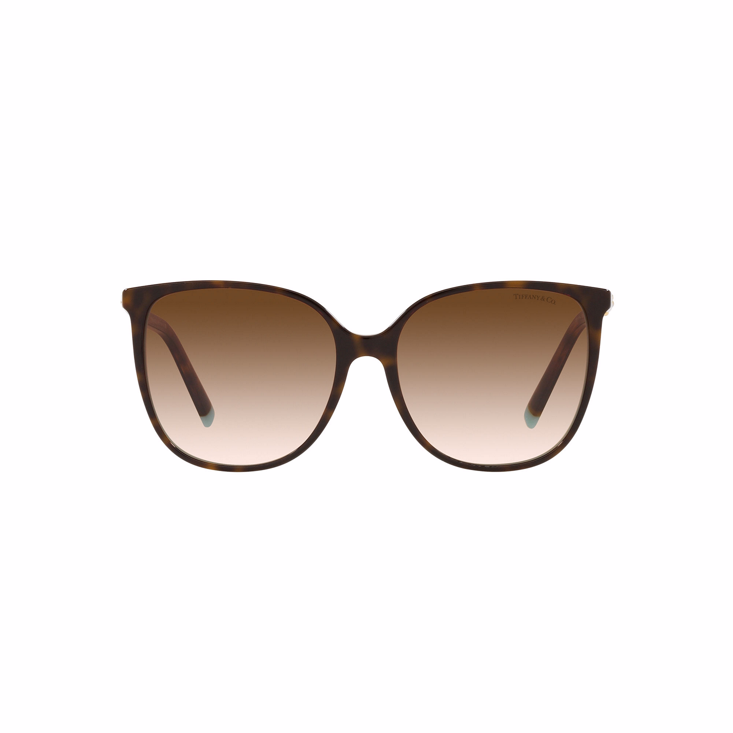 TF4184 Square Sunglasses