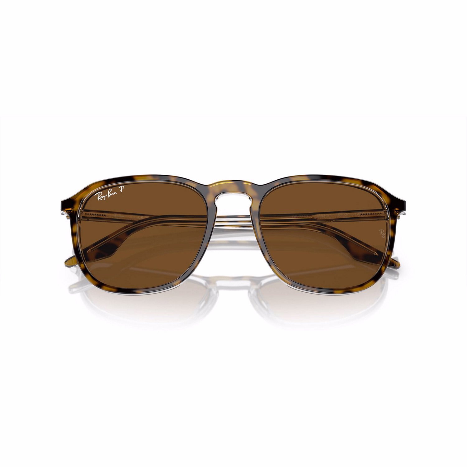 Square Sunglasses RB2203