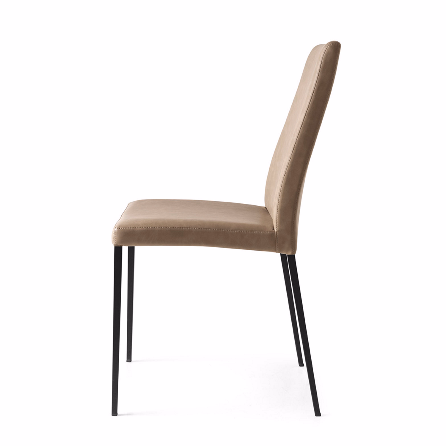 Aida Chair Set of 2 Black and Vintage Desert