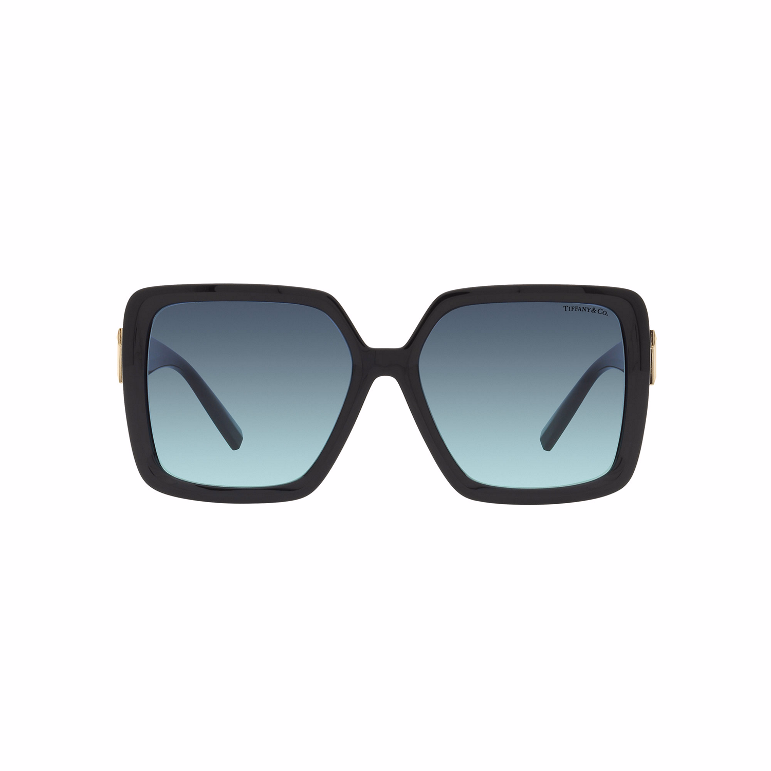 Square Sunglasses TF4206U