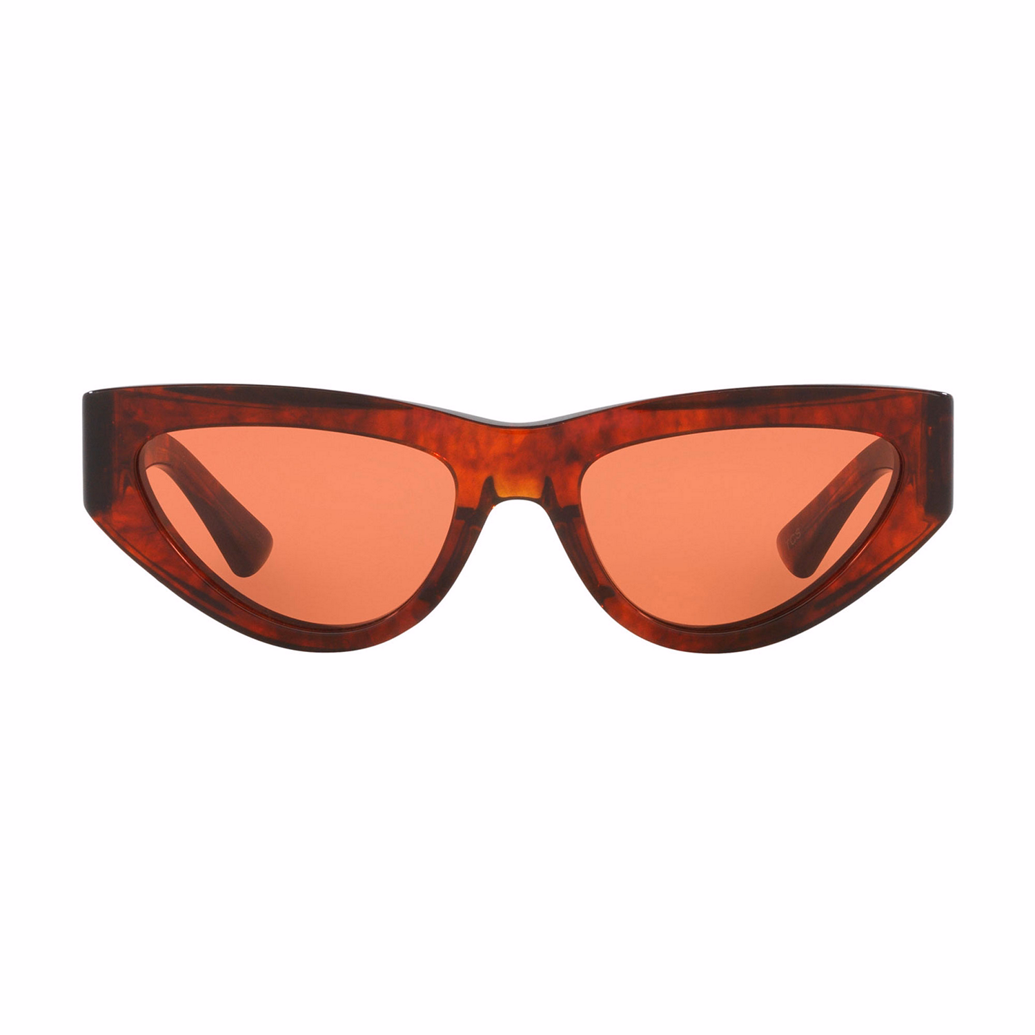 Cat Eye Sunglasses 6J000380