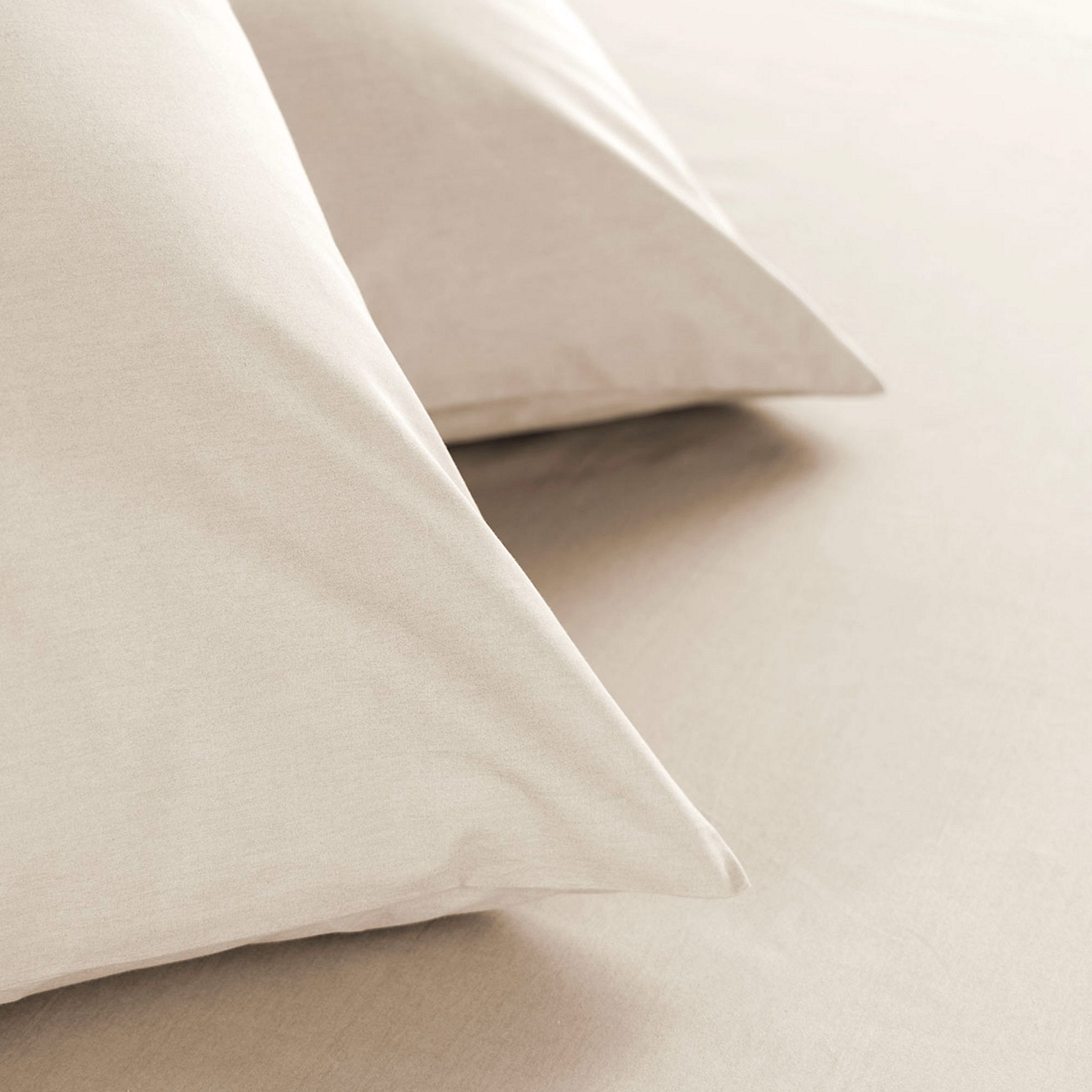 200TC Cotton Fitted Sheet Birch