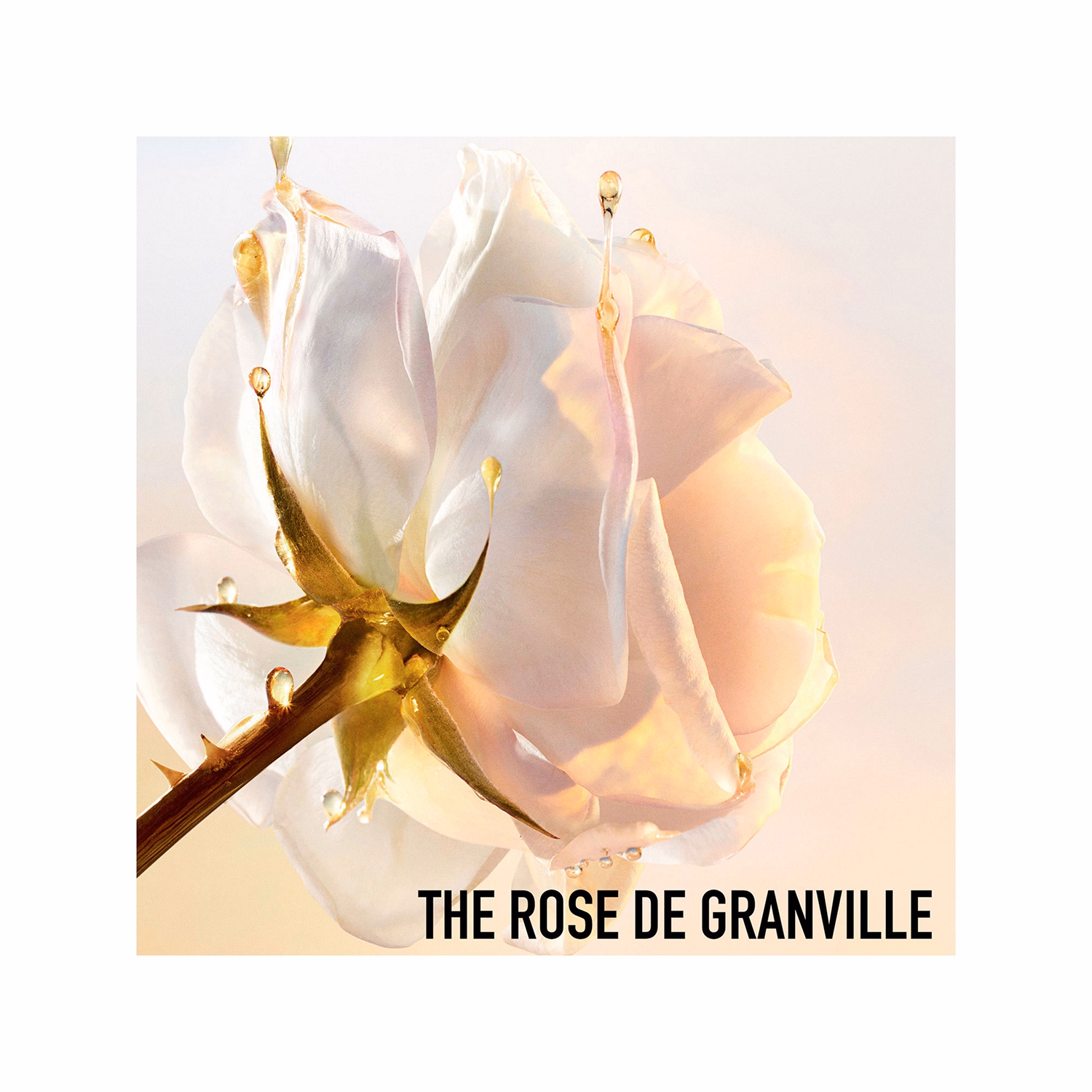 Dior Prestige Le Savon