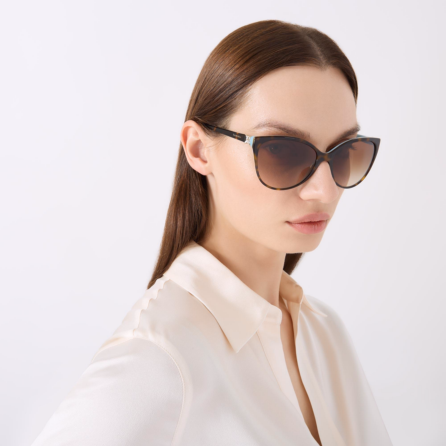 Cat Eye Sunglasses TF4089B