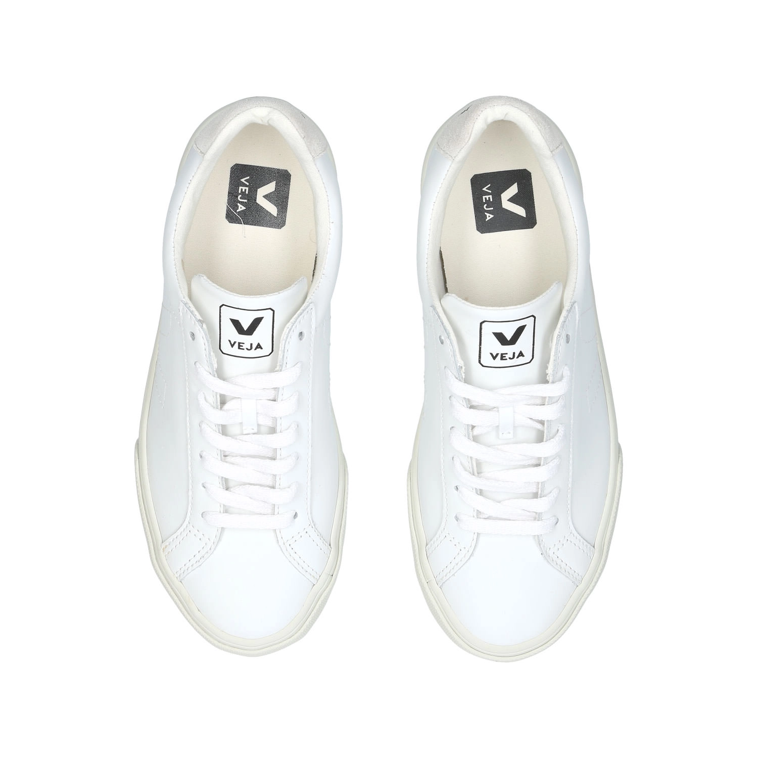 Esplar Logo Trainers