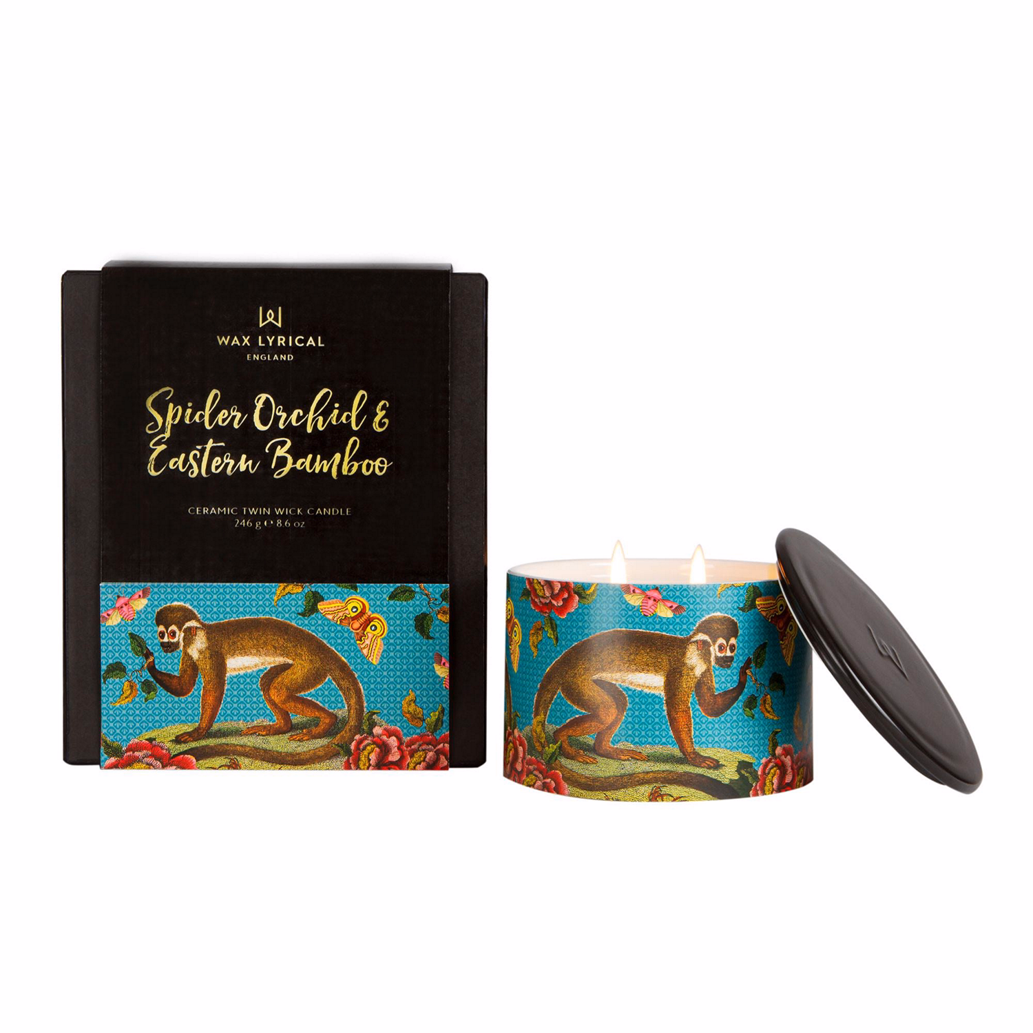 Candle Spider Orchid & Bamboo