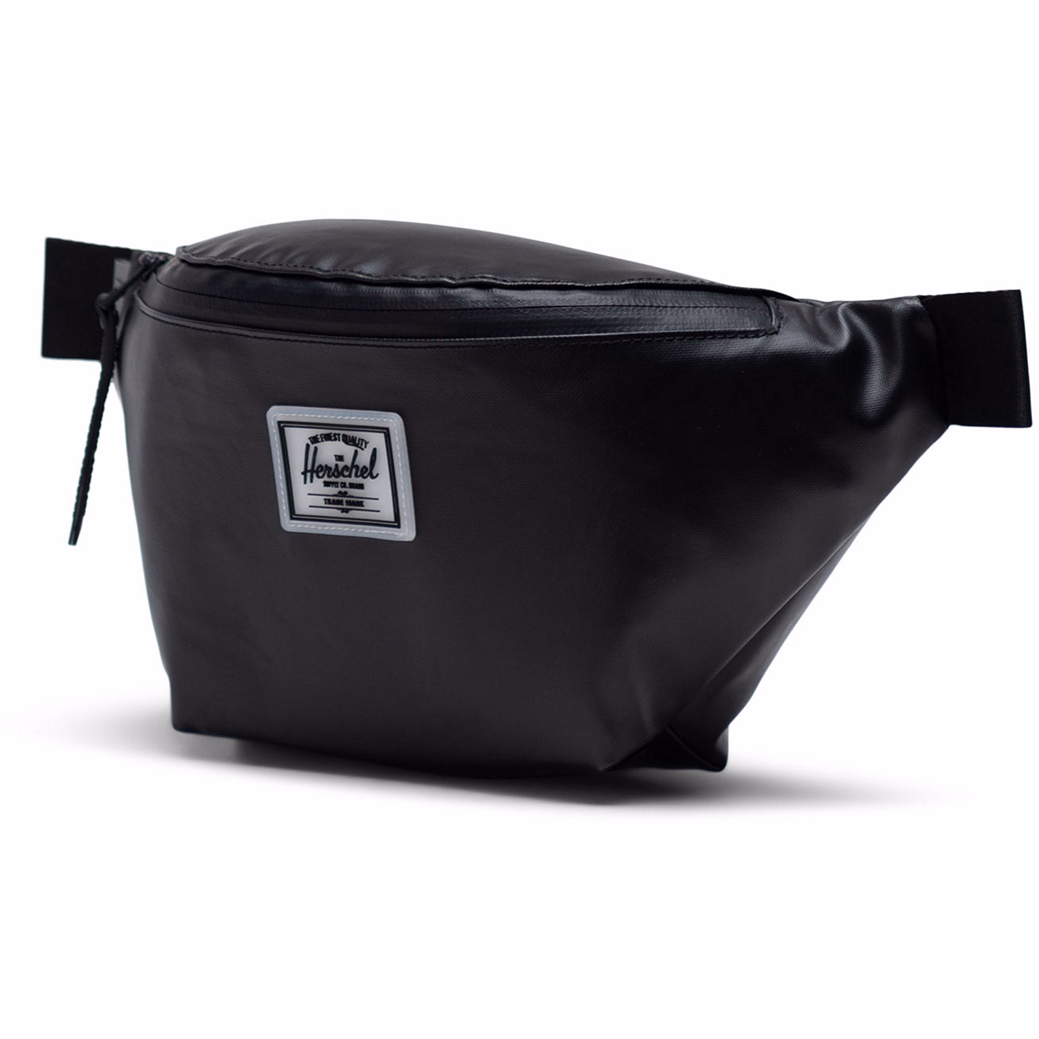 Weather Resistant Hip Pack 17