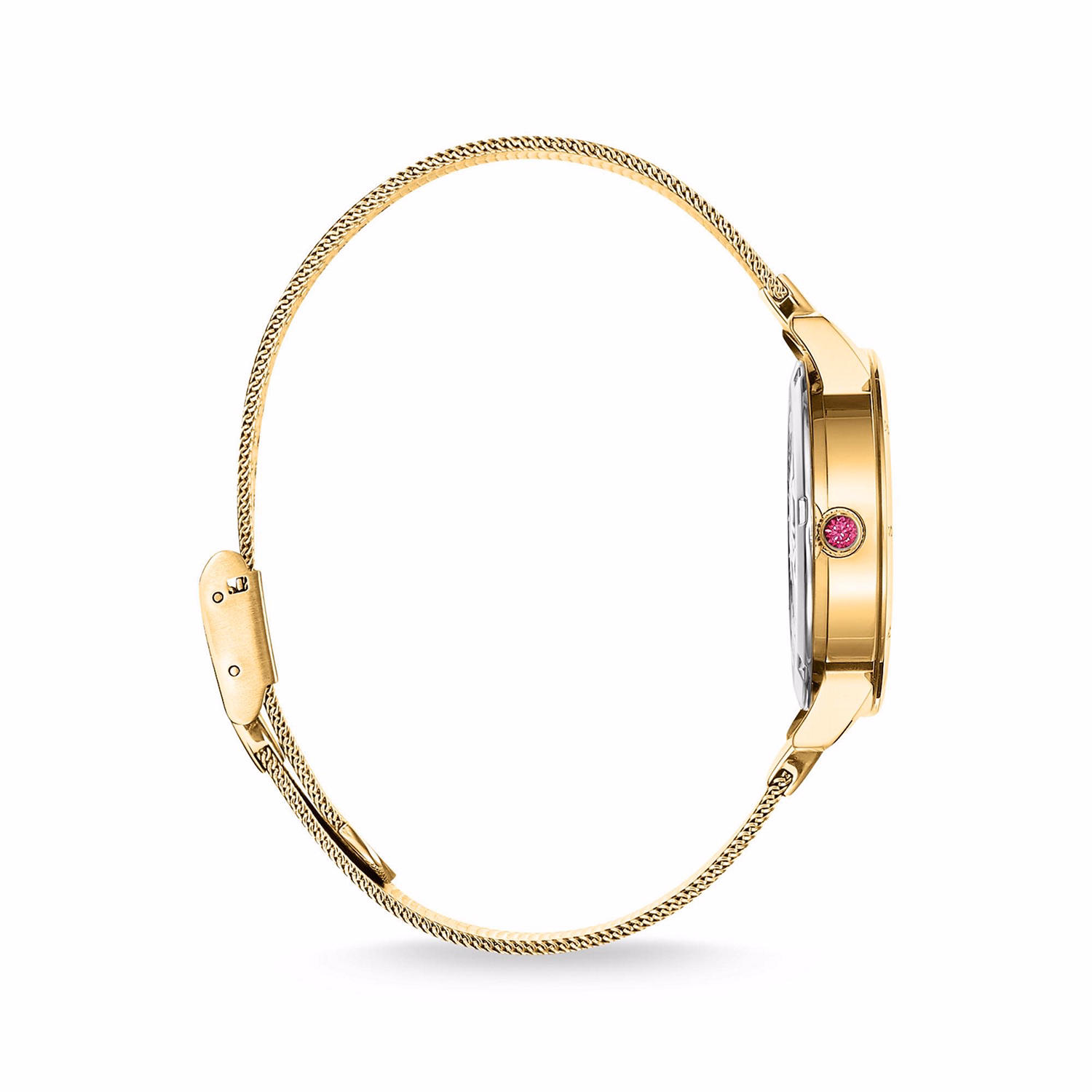 Kaleidoscope Dragonfly Watch