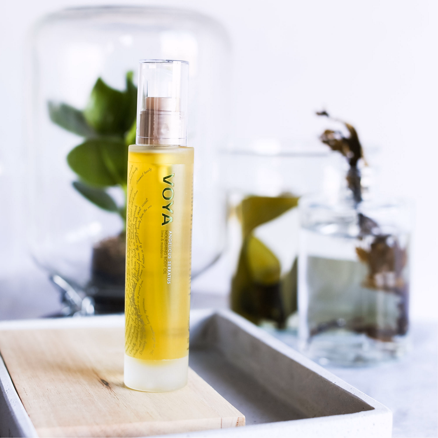 Angelicus Serratus Nourishing Body Oil