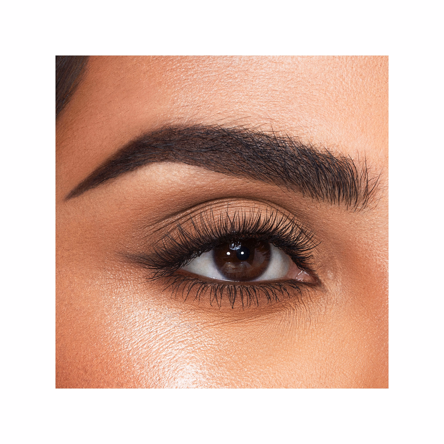 Brow Cheat Refill