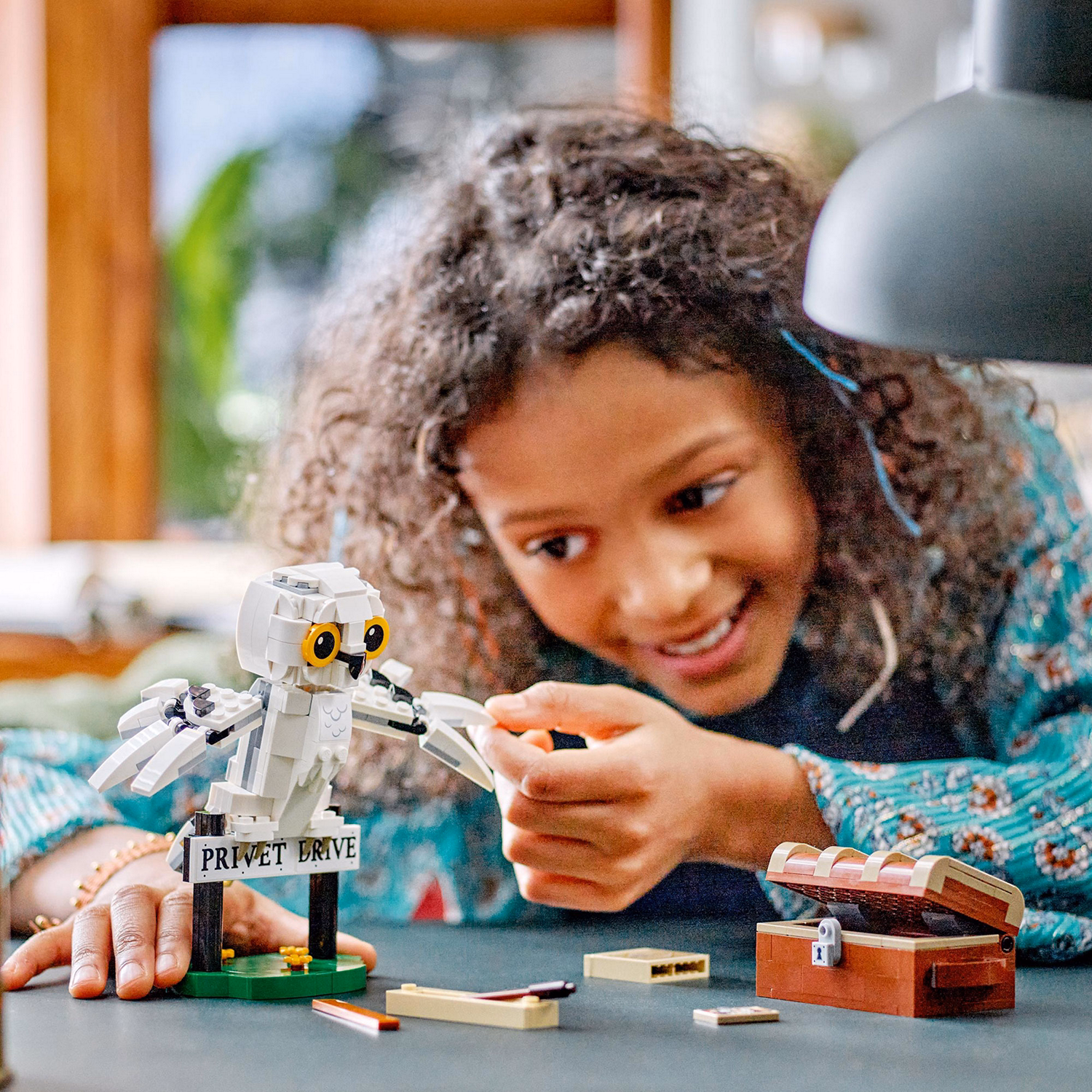 Harry Potter Hedwig? At 4 Privet Drive