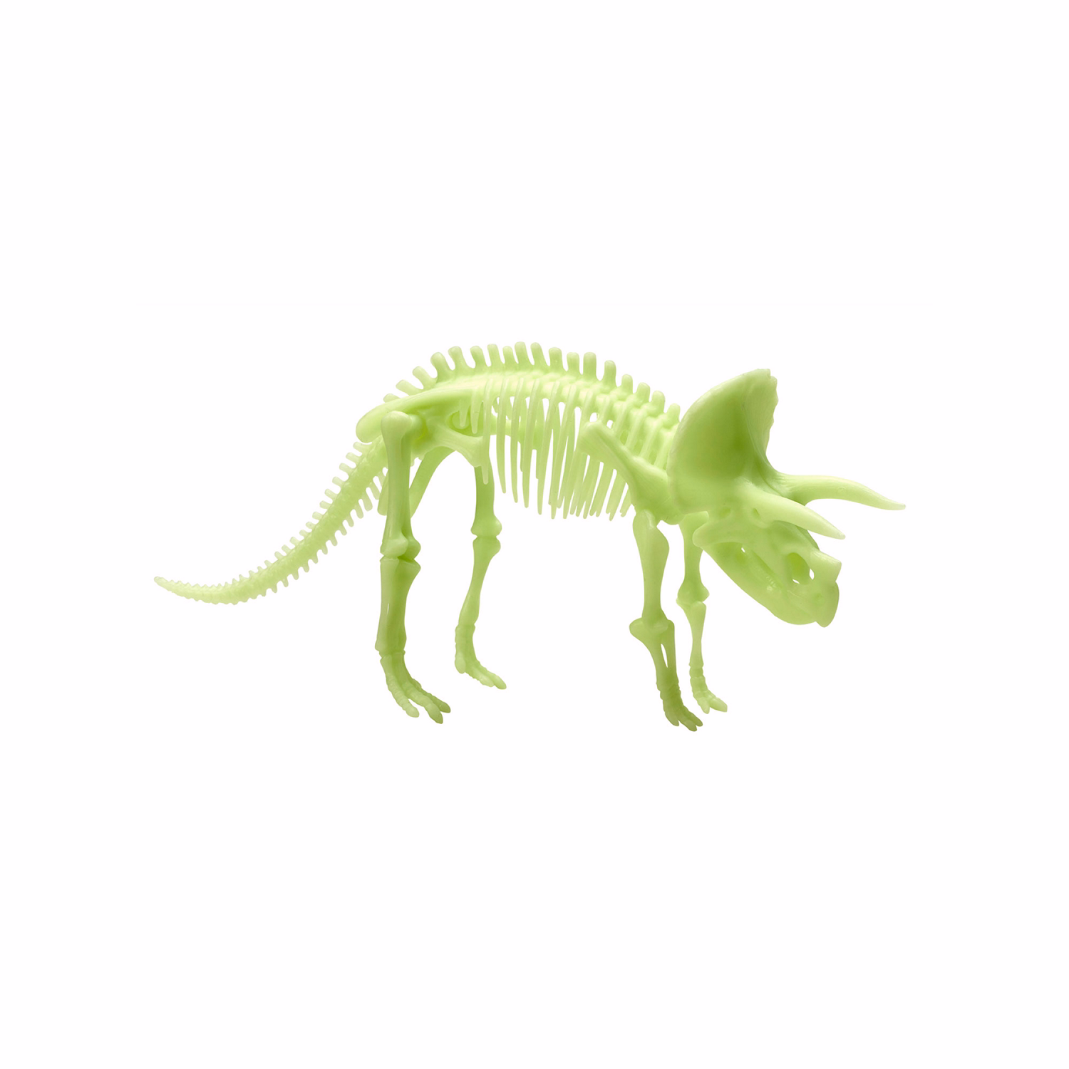 Glow In The Dark Triceratops Skeleton