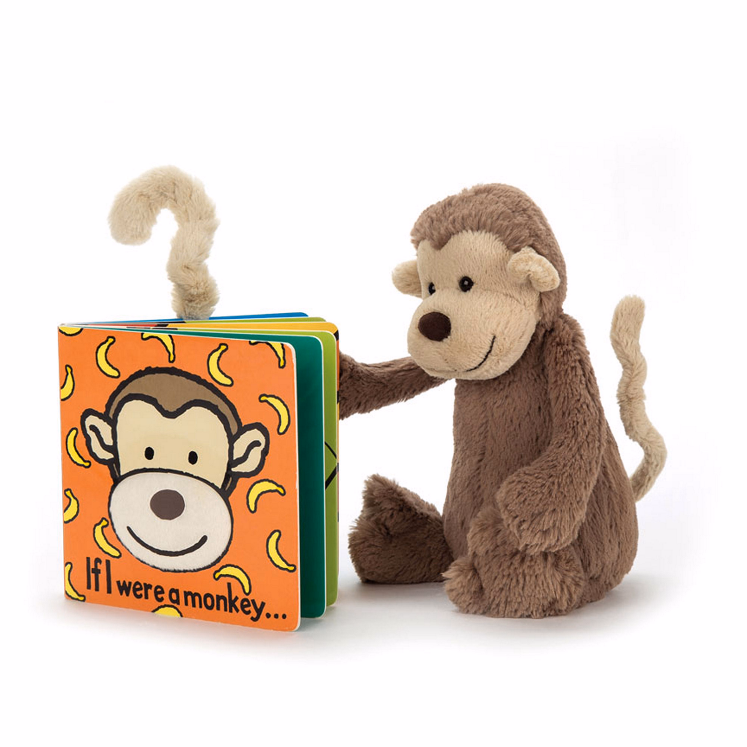 If I Were A Monkey Book