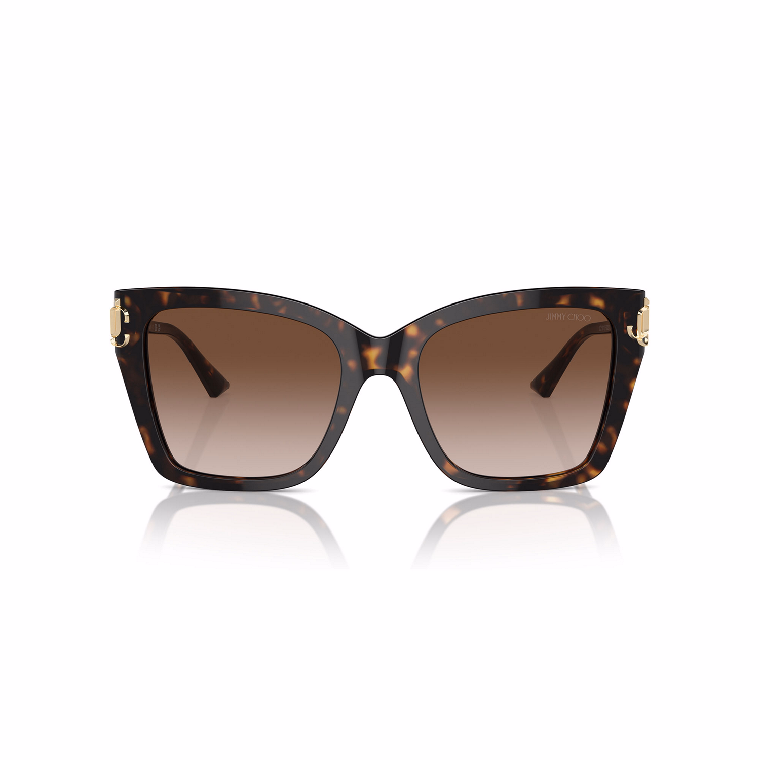 Square Sunglasses JC5012