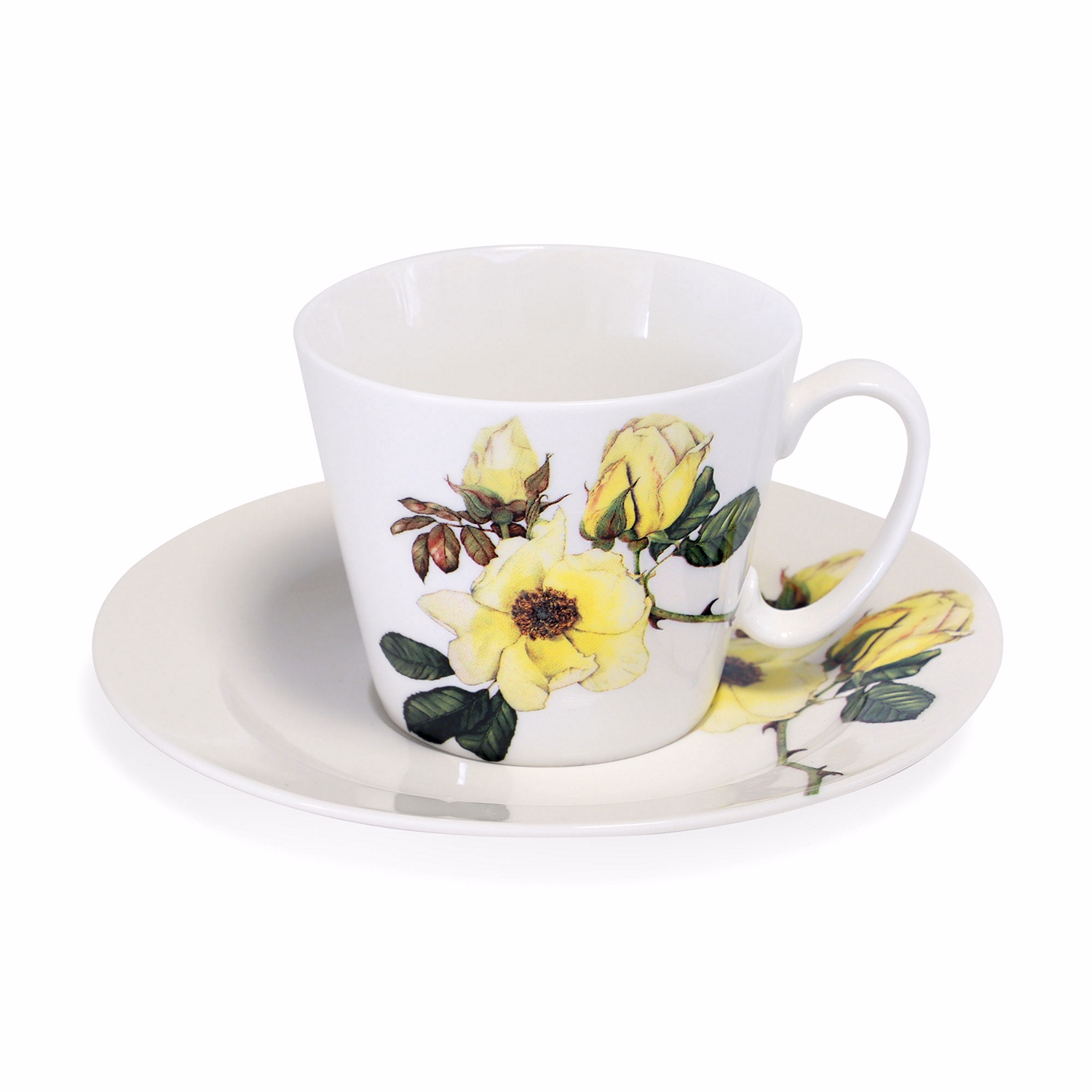 Botanical Studio Set Of Two Cup & Saucer