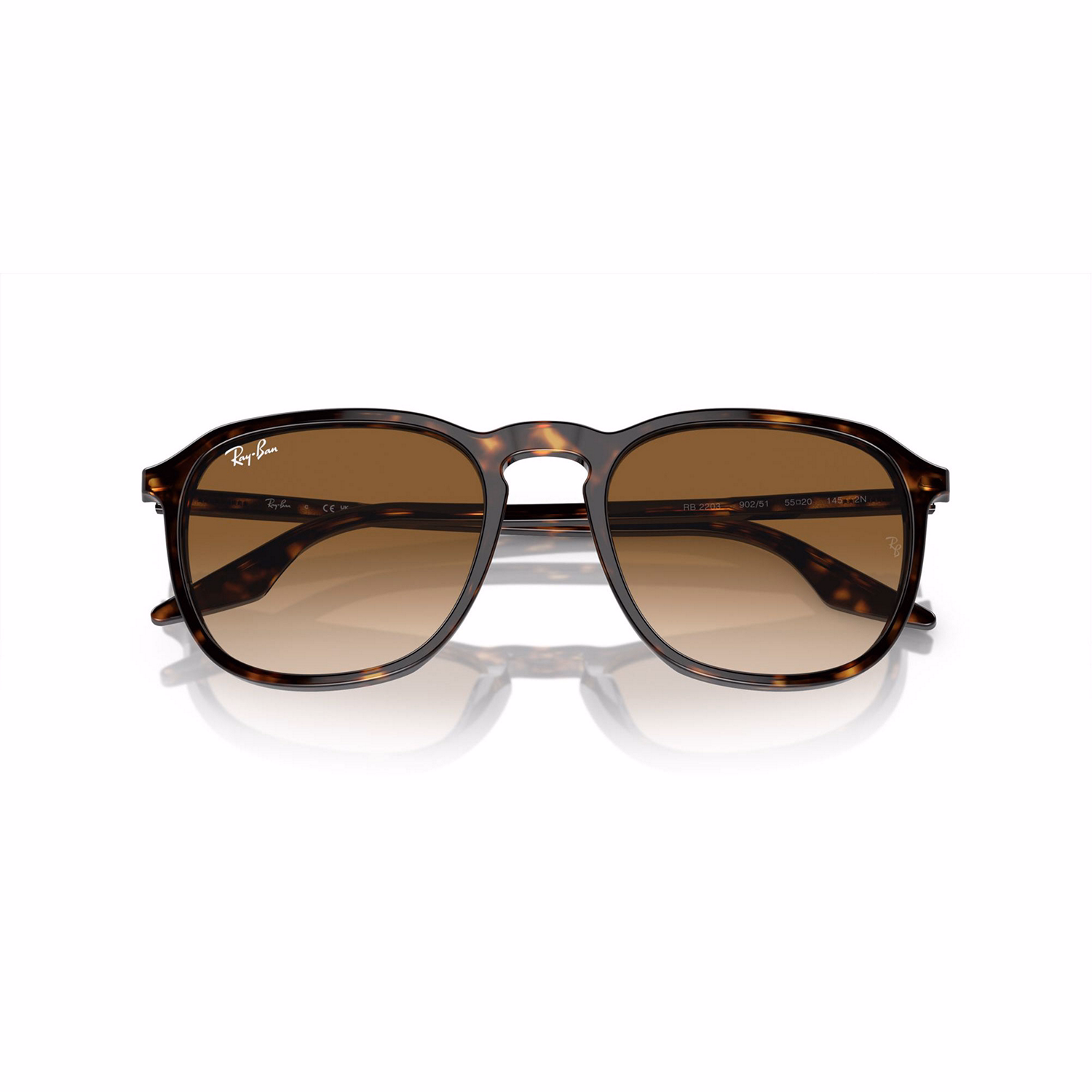 Square Sunglasses RB2203