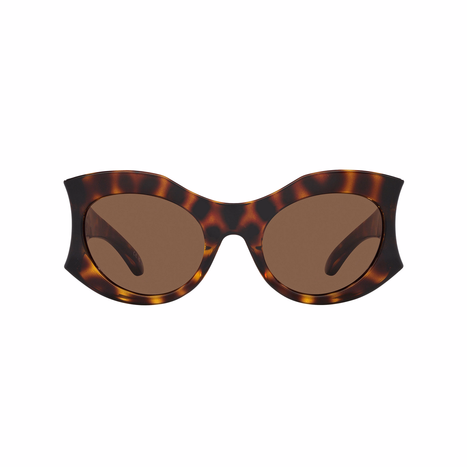 Cat Eye Sunglasses 6E000286