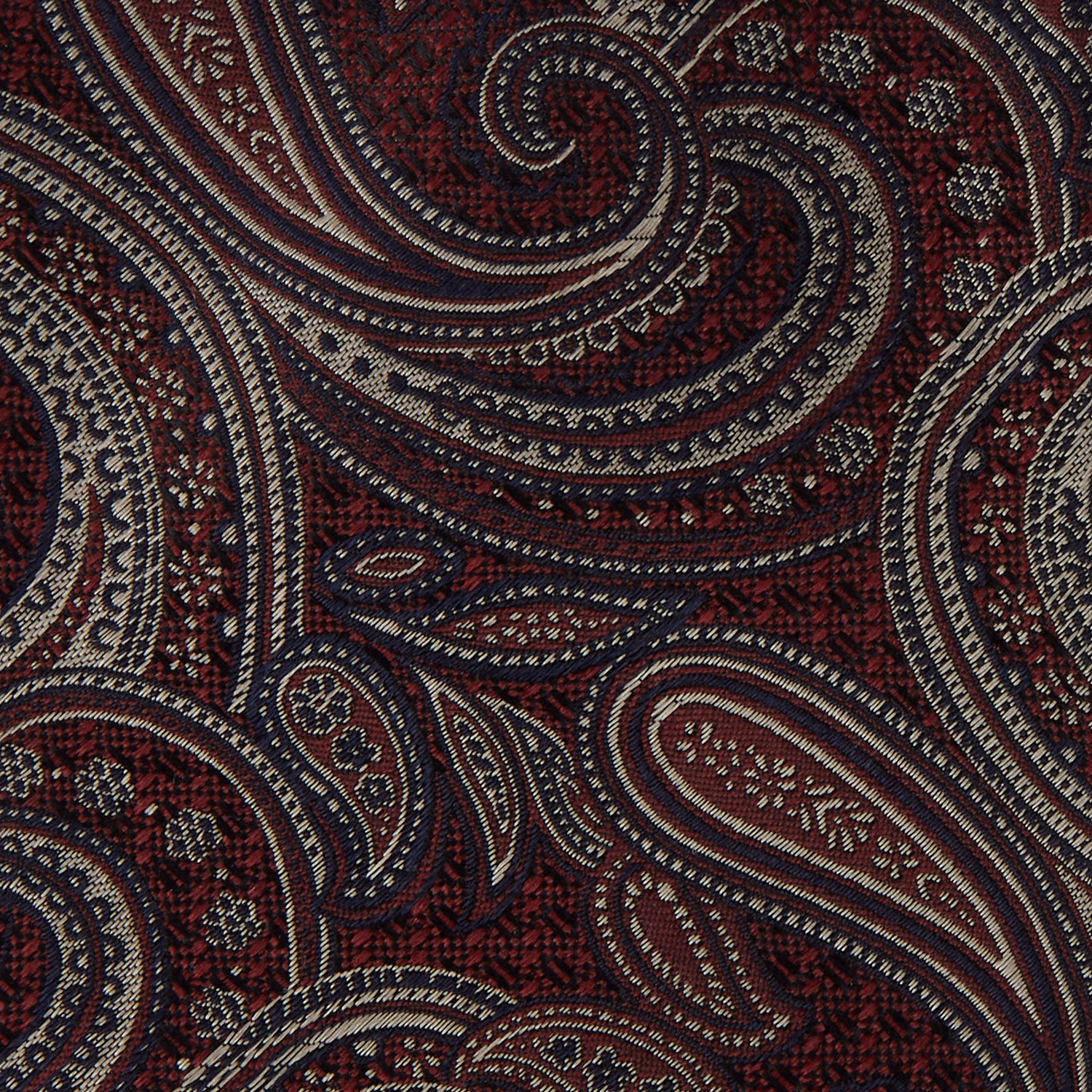 Paisley Silk Tie