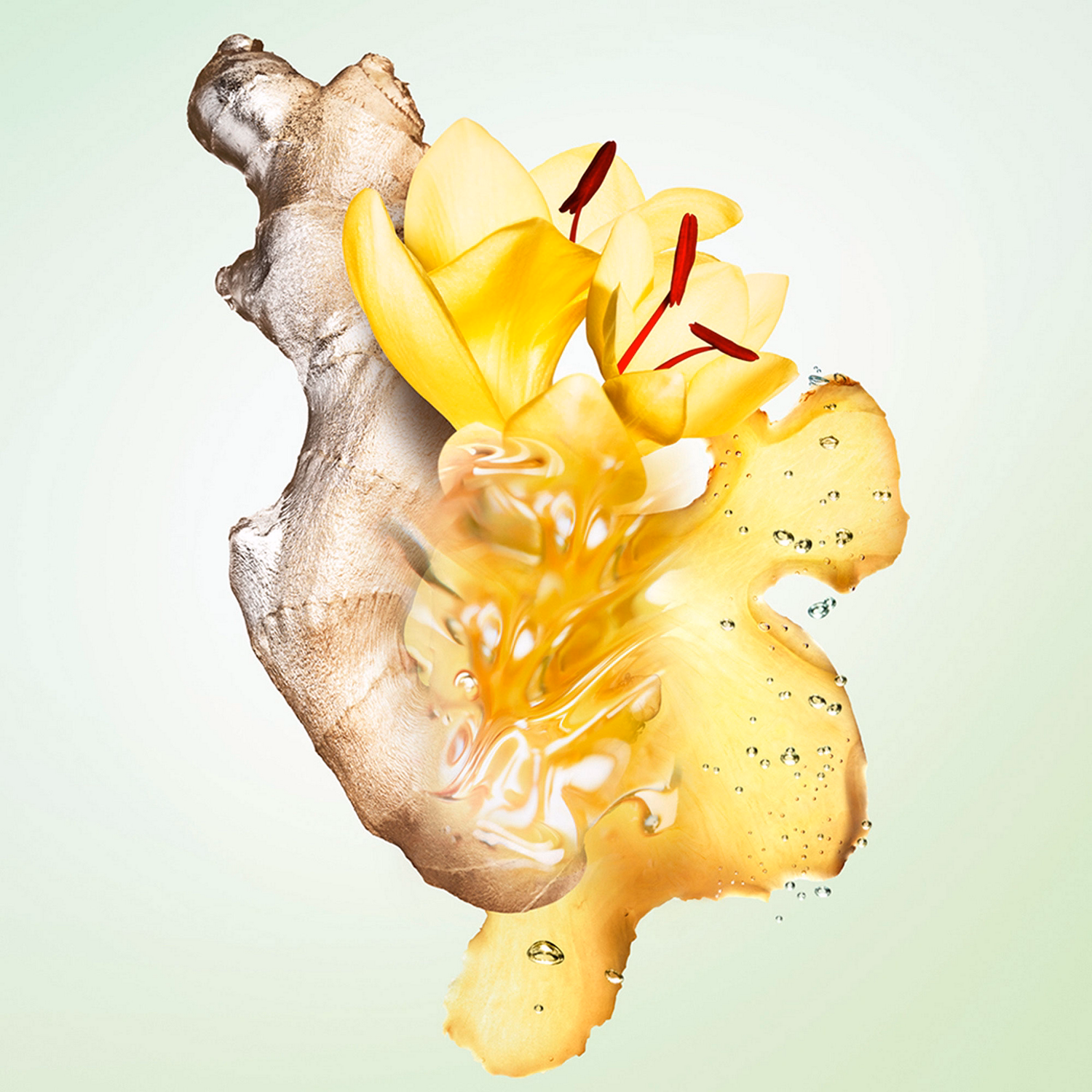 Infusions Gingembre Eau de Parfum