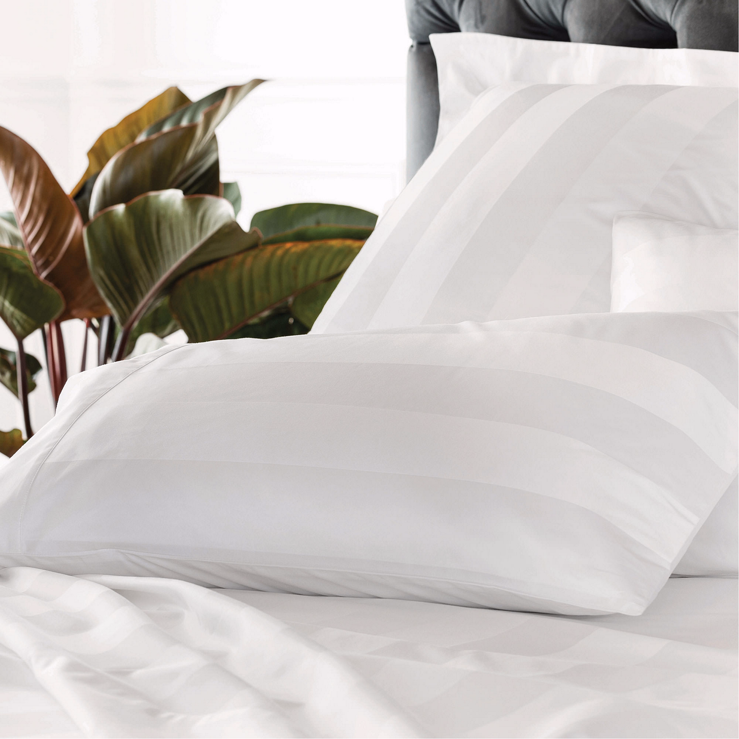 Masterson Pillowcases Snow