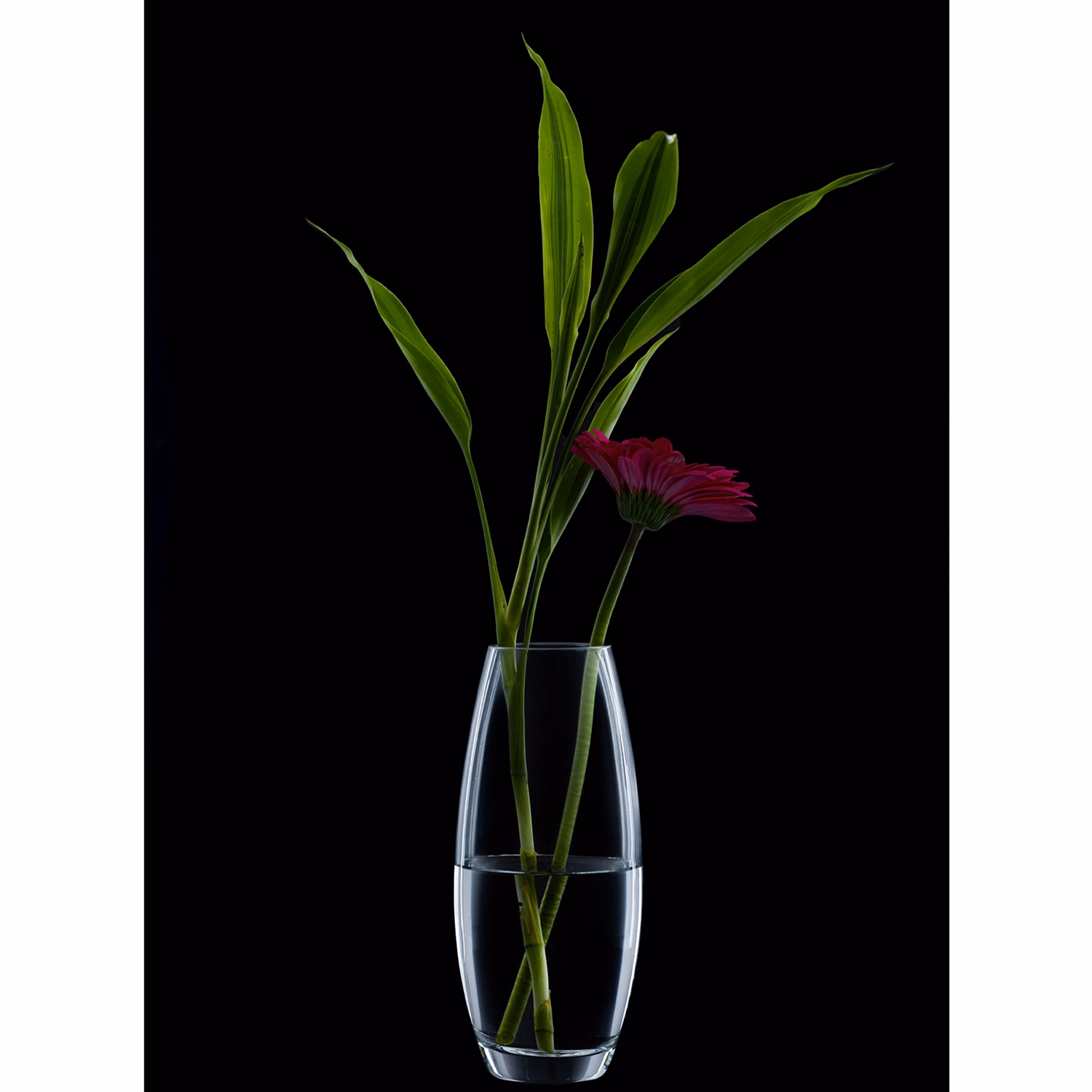 Bullet Glass Vase
