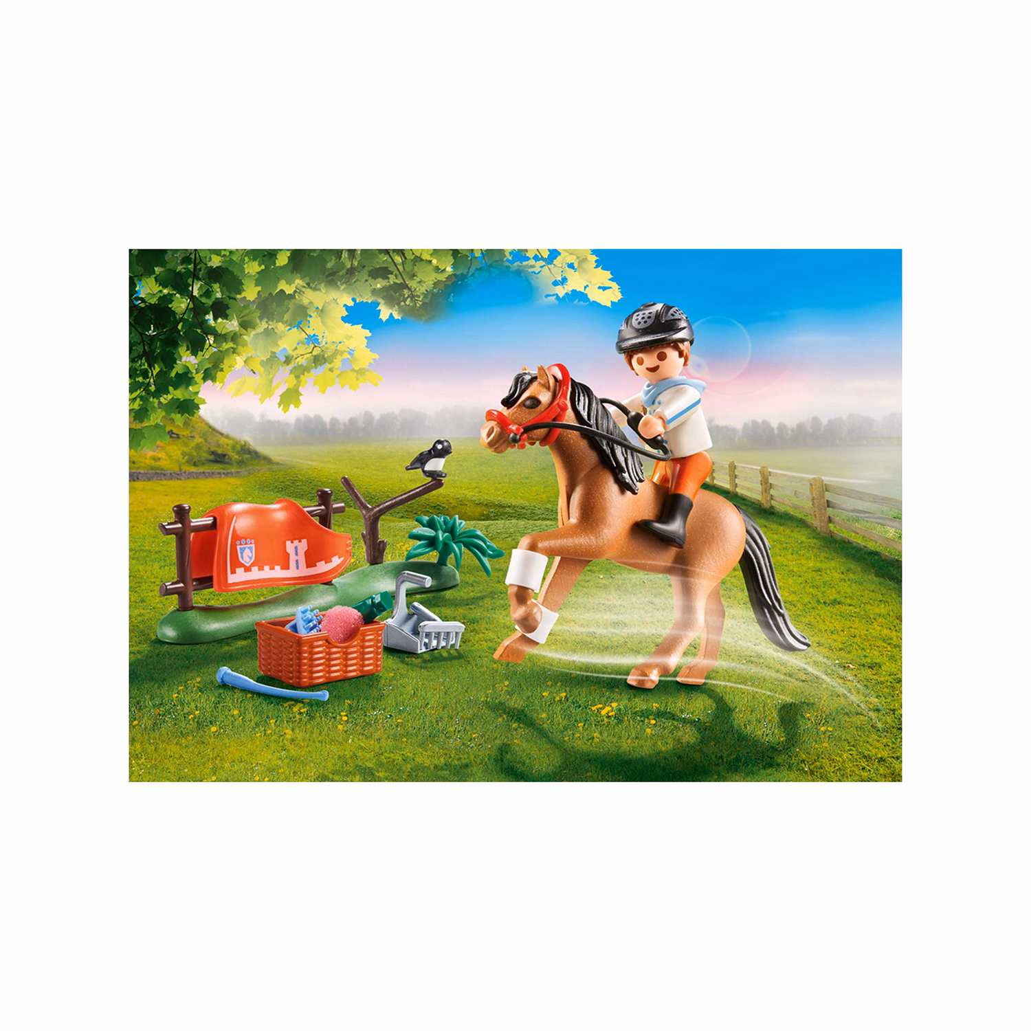 Country Connemara Pony