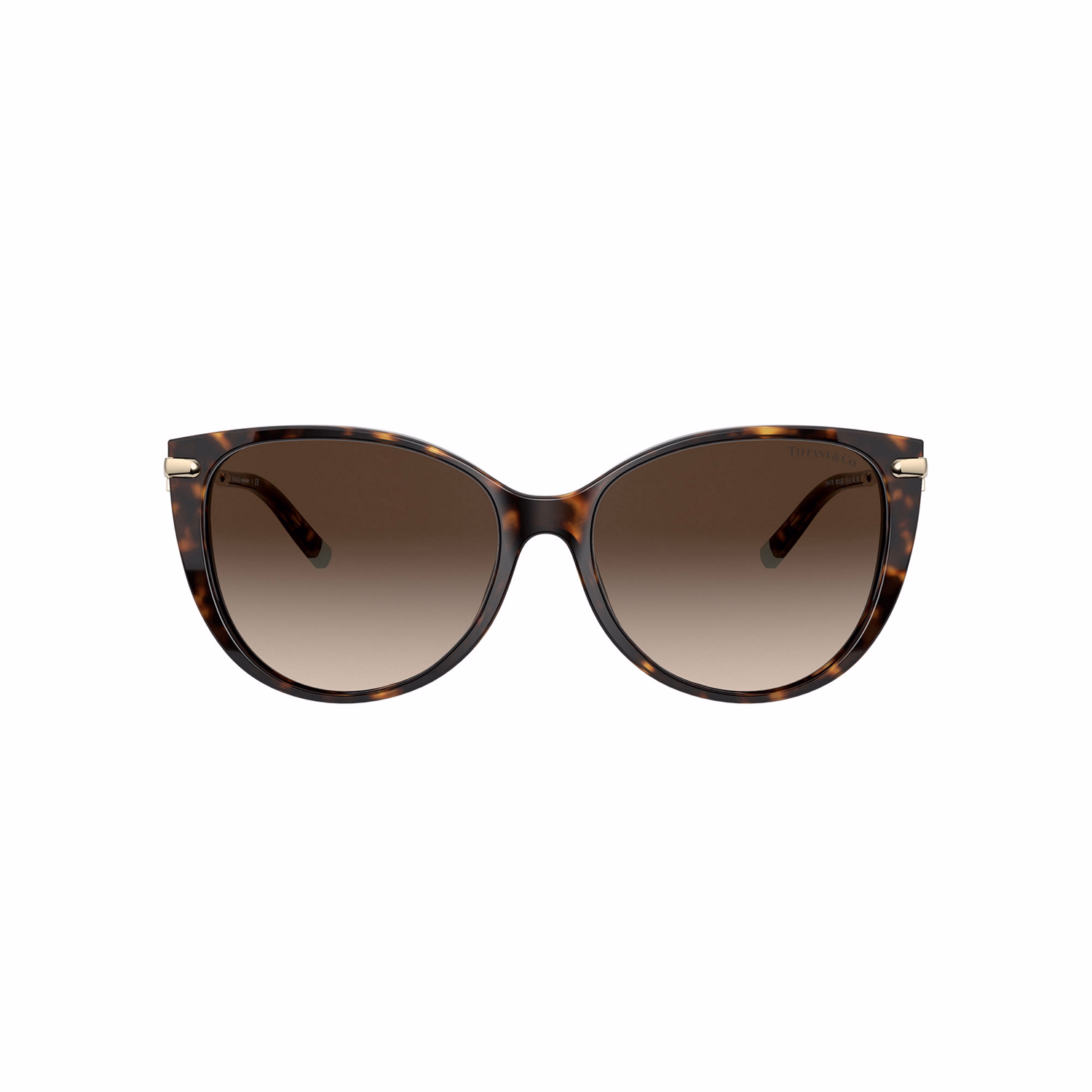 0TF4178 Cat Eye Sunglasses