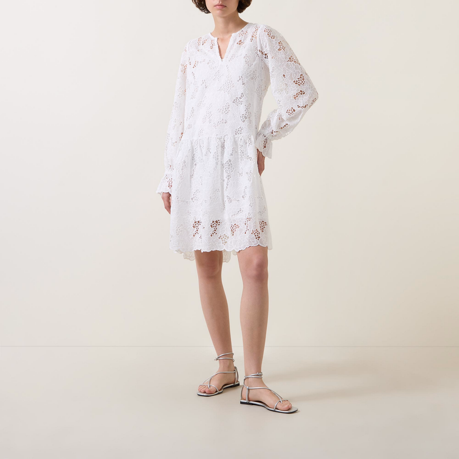 Lay Embroidered Mini Dress