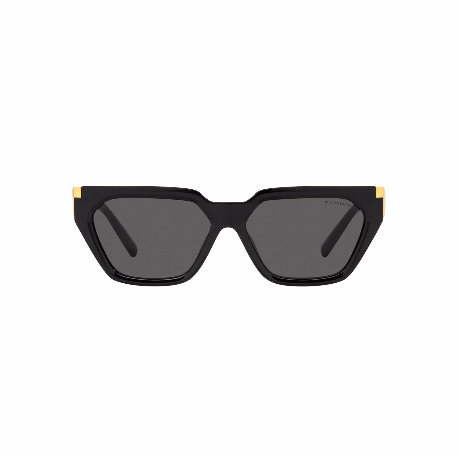 Irregular Sunglasses TF4205U