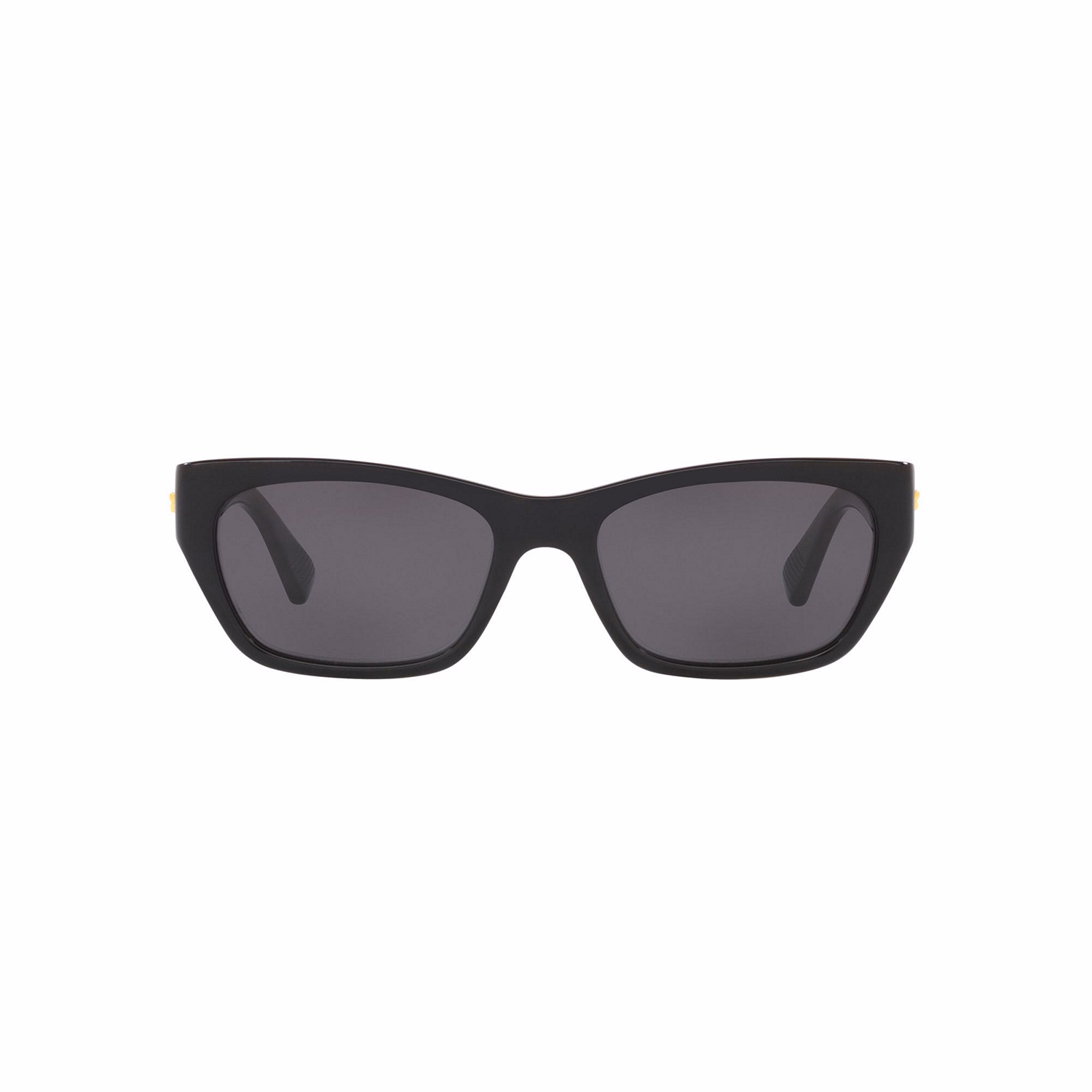 Rectangle Sunglasses 6J000370