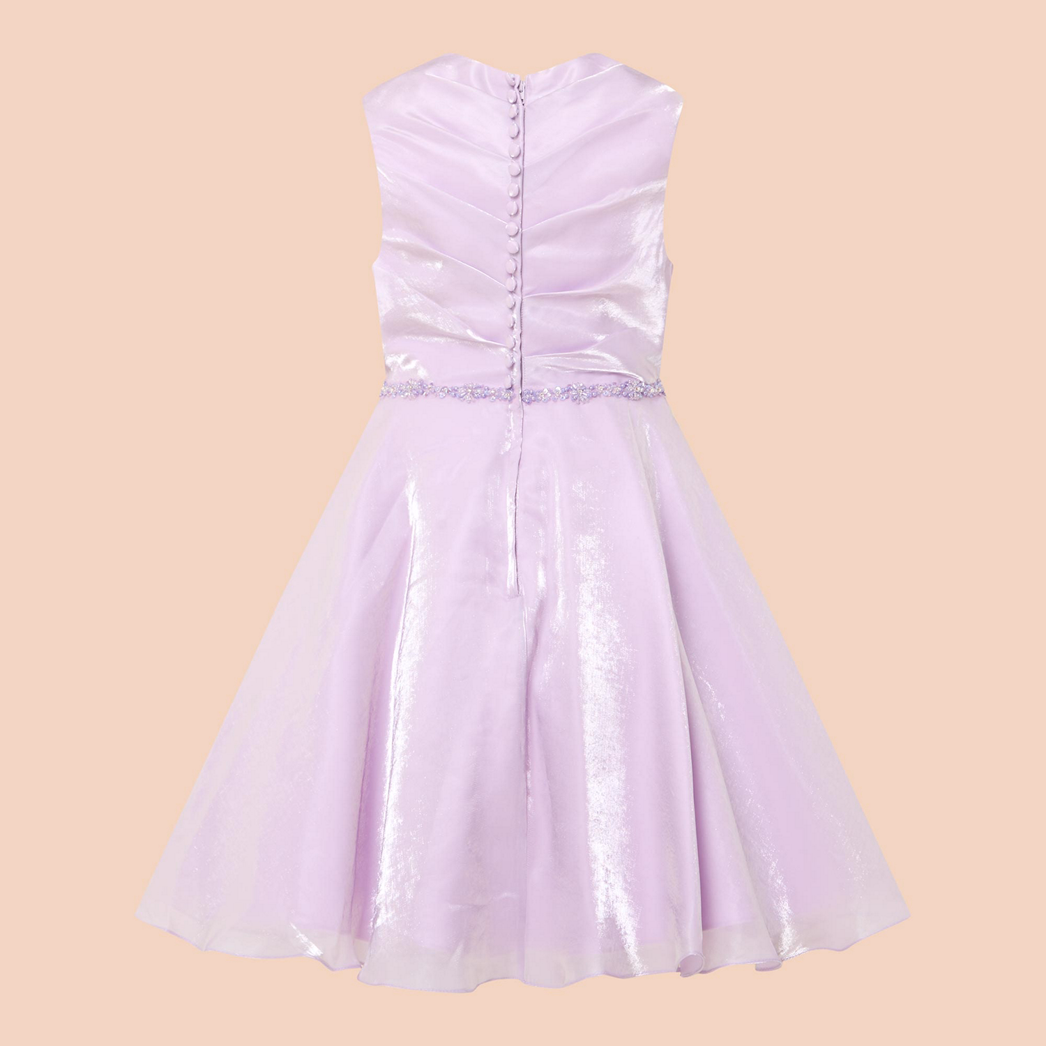 Pleated Bodice Dress