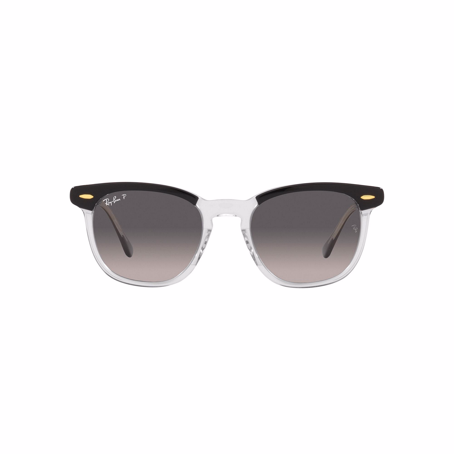 Square Sunglasses RB2298