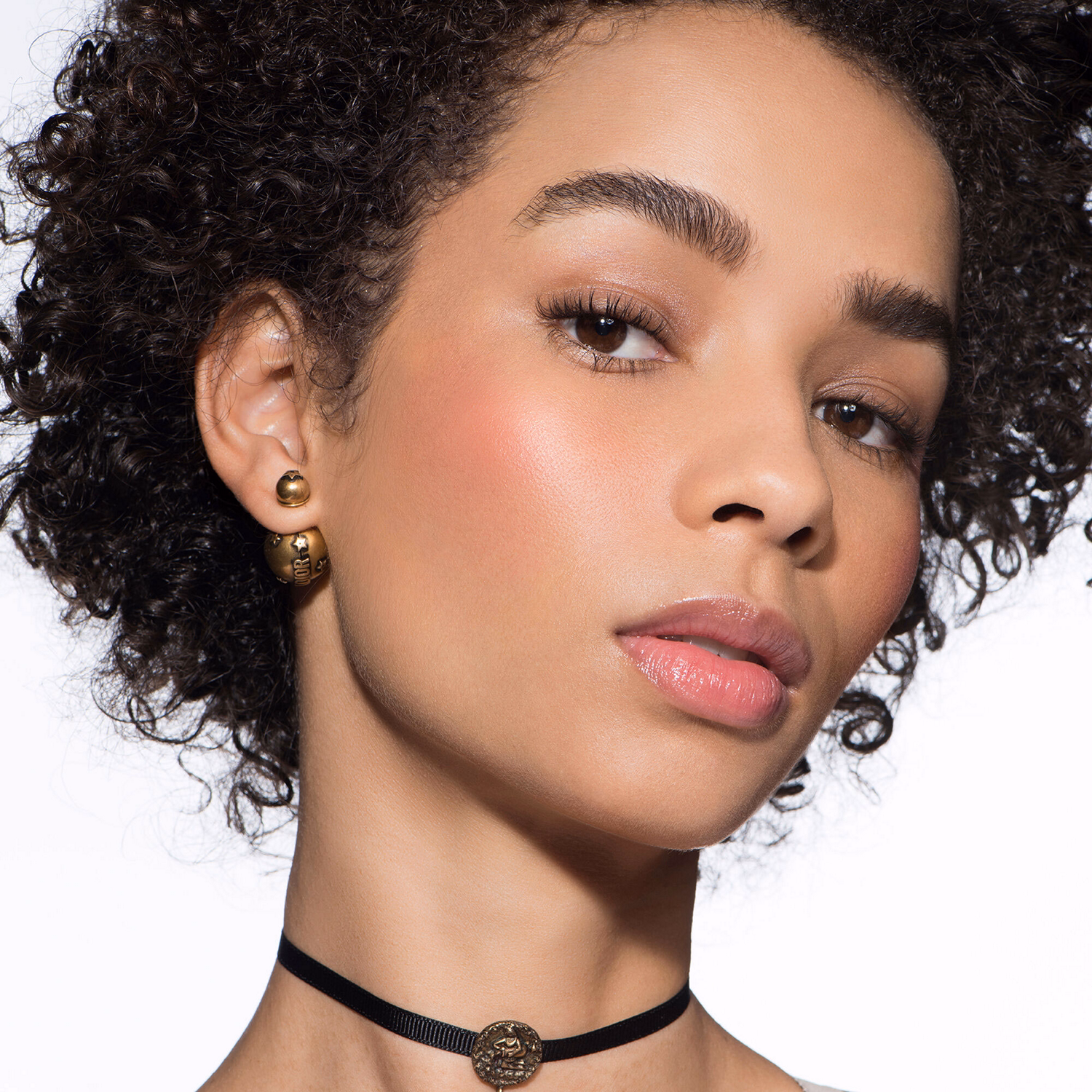 Rouge Blush - Shimmer