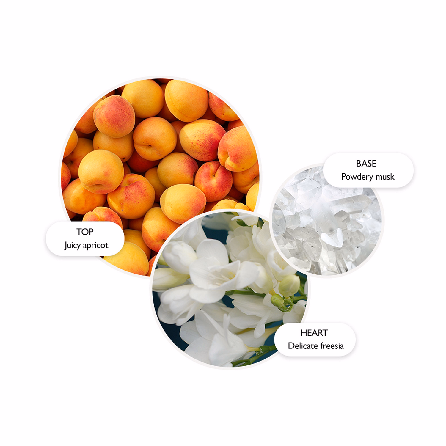 Graceful Apricot & Freesia Body Lotion