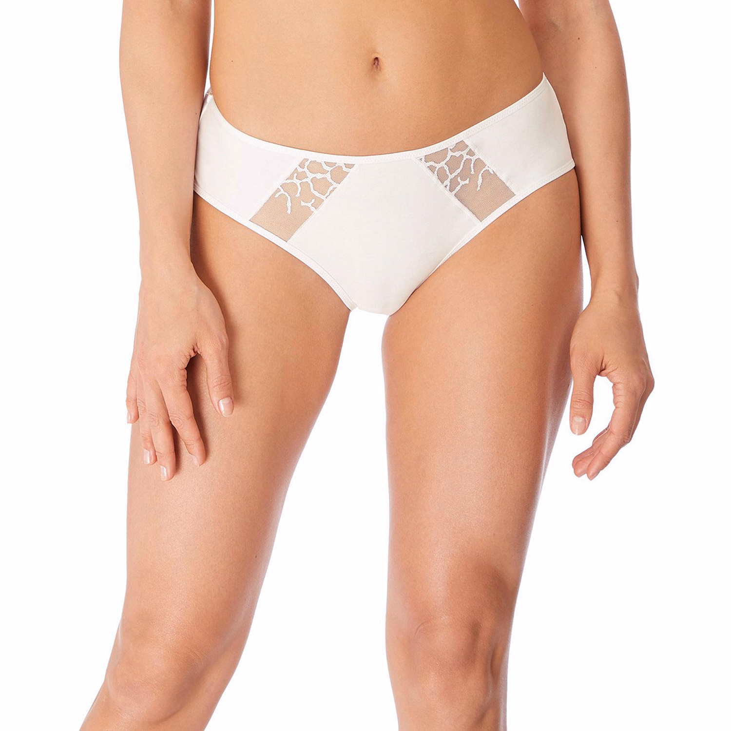 Lisse Brief