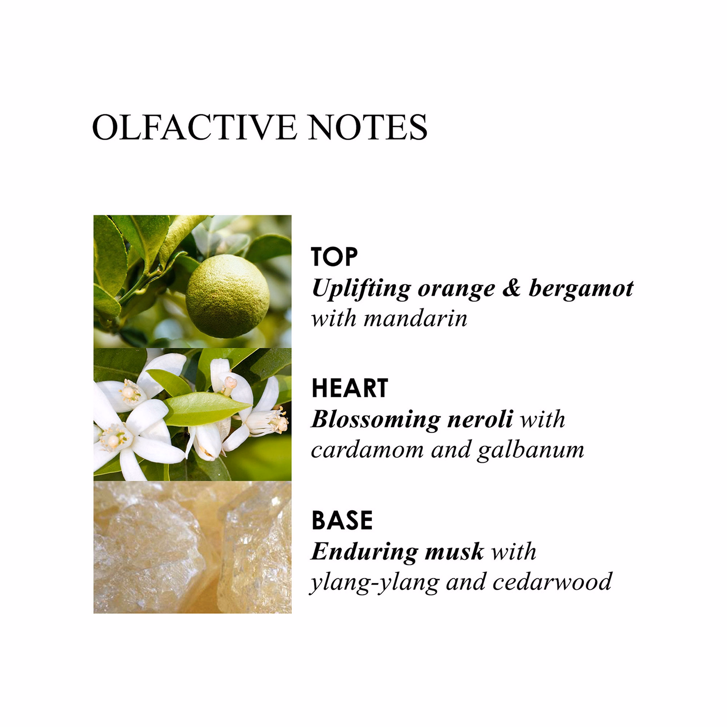 Orange & Bergamot Radiant Body Polisher