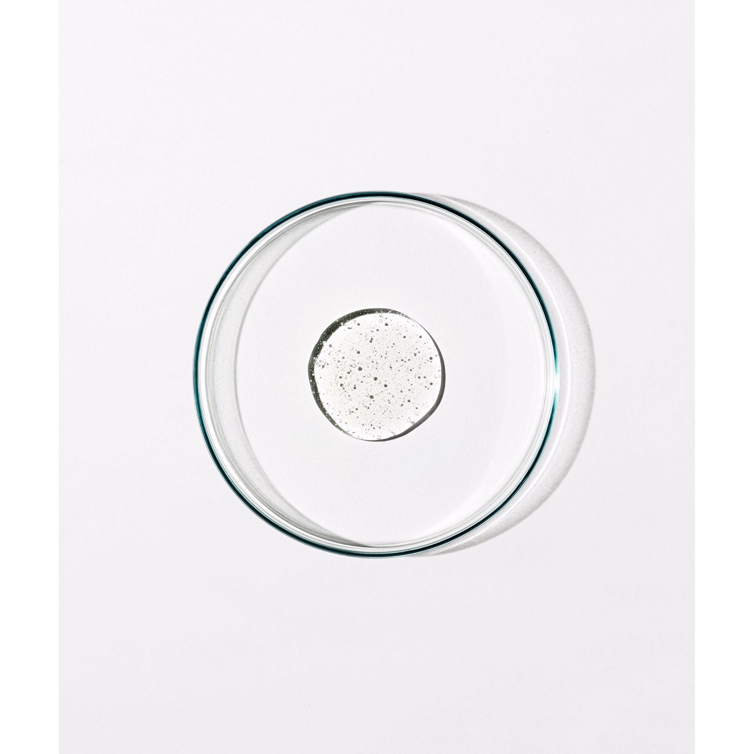 Body Cleanser: Chamomile, Bergamot, Rose