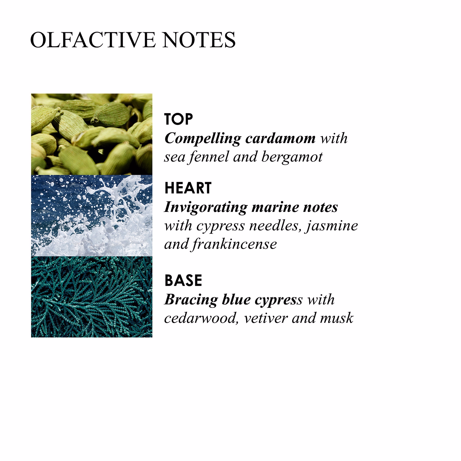 Coastal Cypress & Sea Fennel Bath & Shower Gel Refill